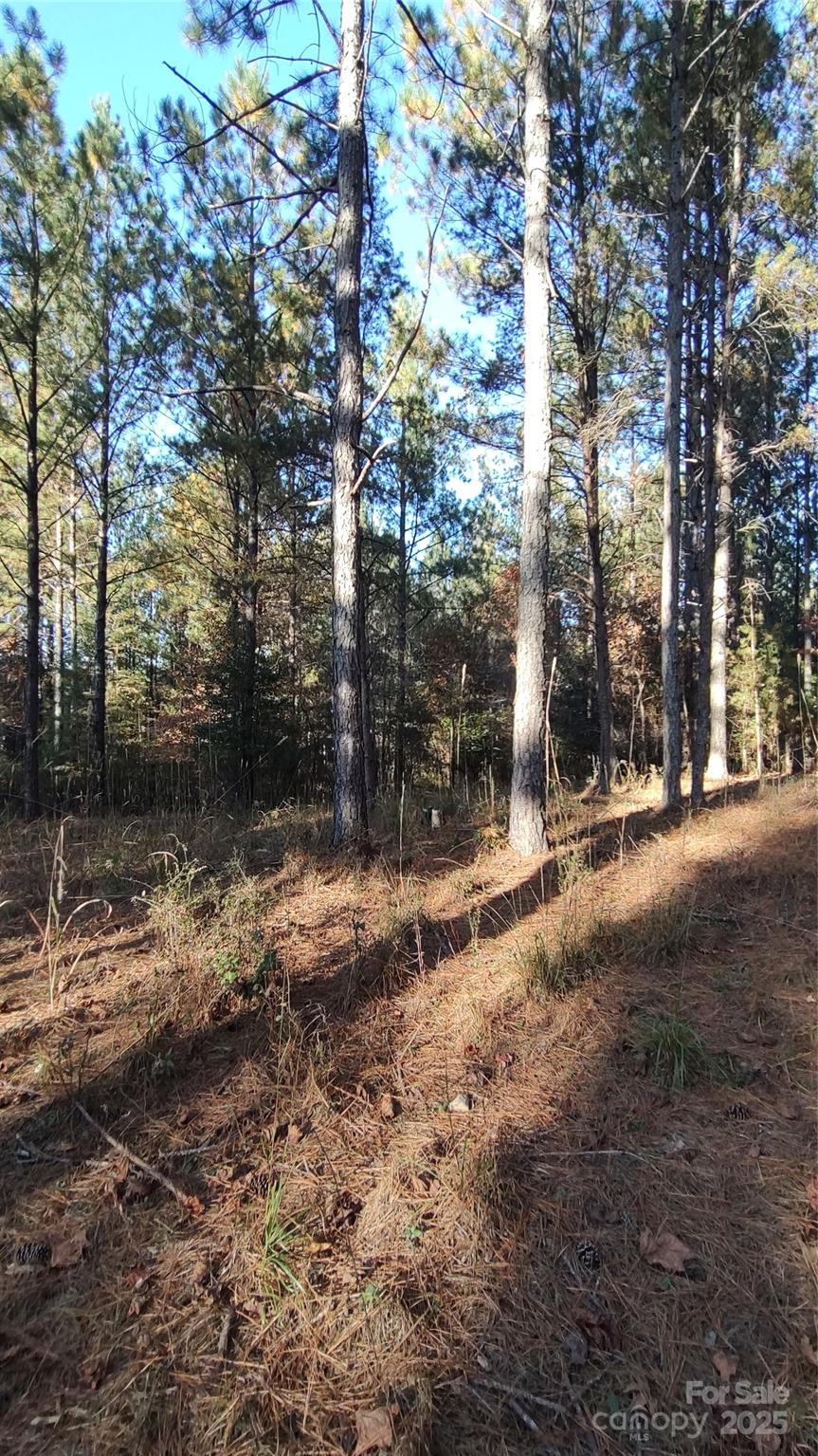 Broad River Highlands - Land