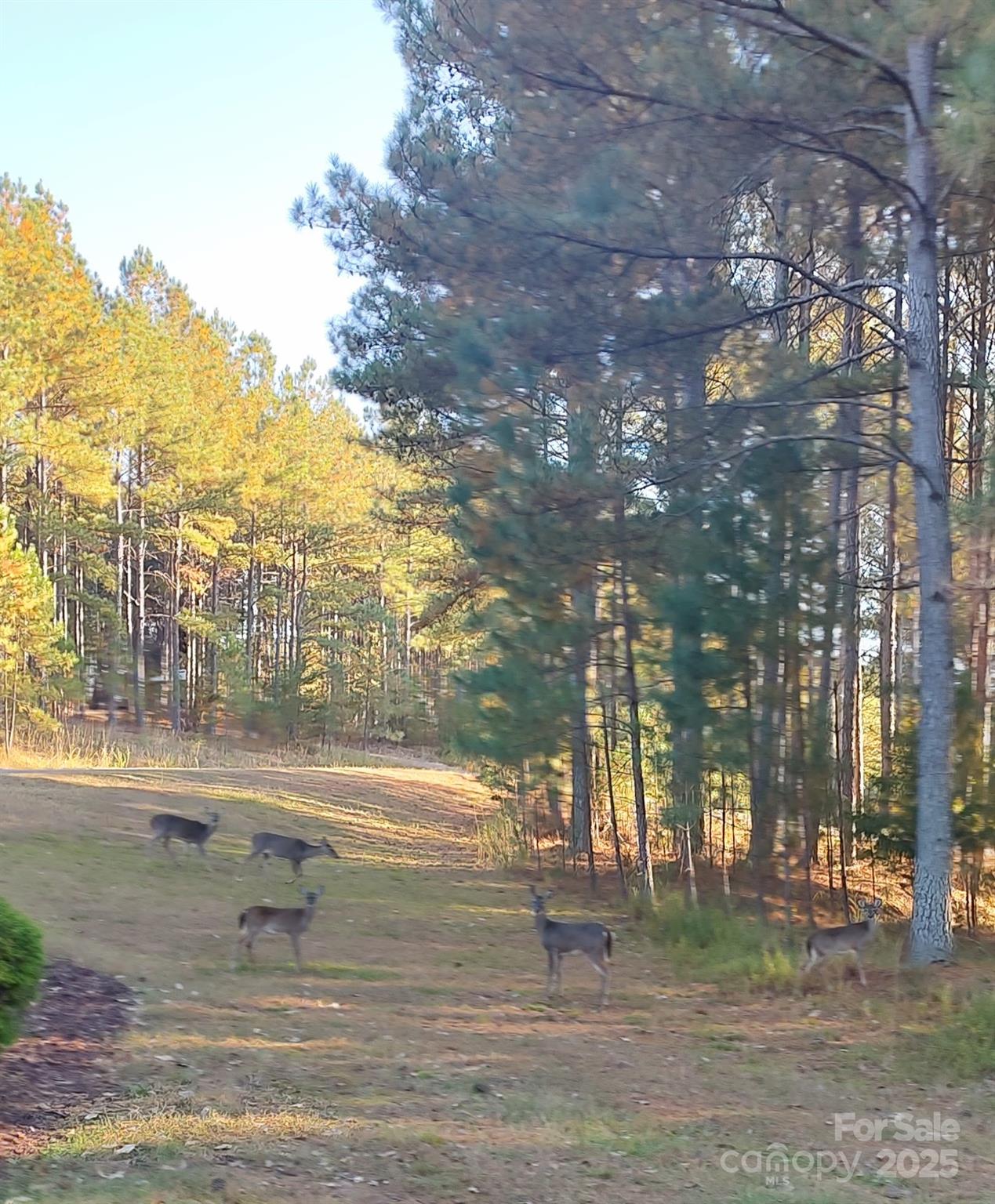 Broad River Highlands - Land