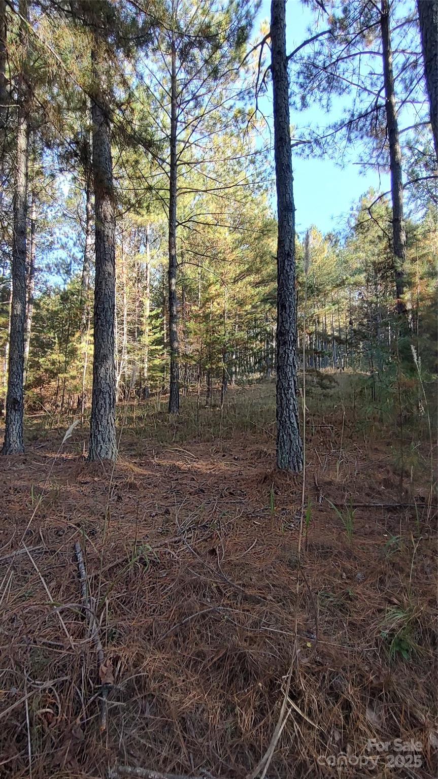 Broad River Highlands - Land