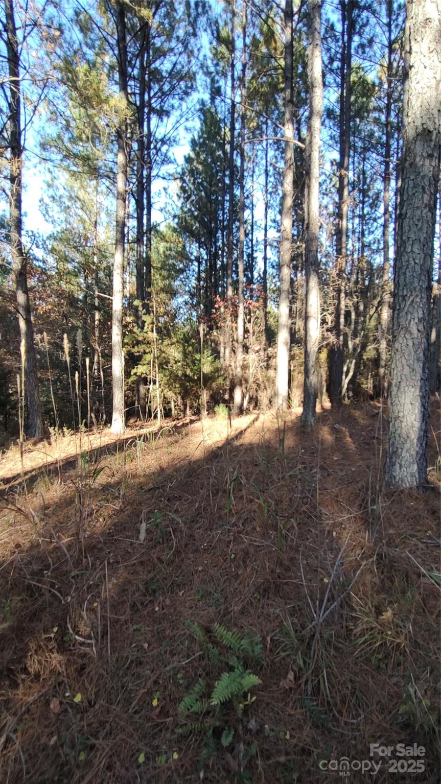 Broad River Highlands - Land