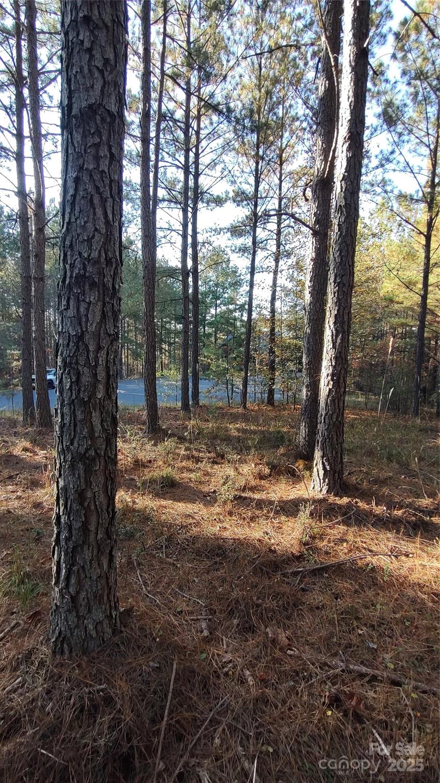 Broad River Highlands - Land