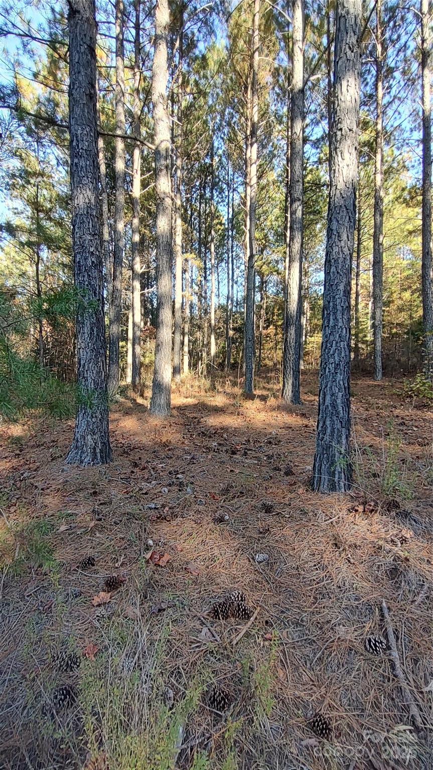 Broad River Highlands - Land