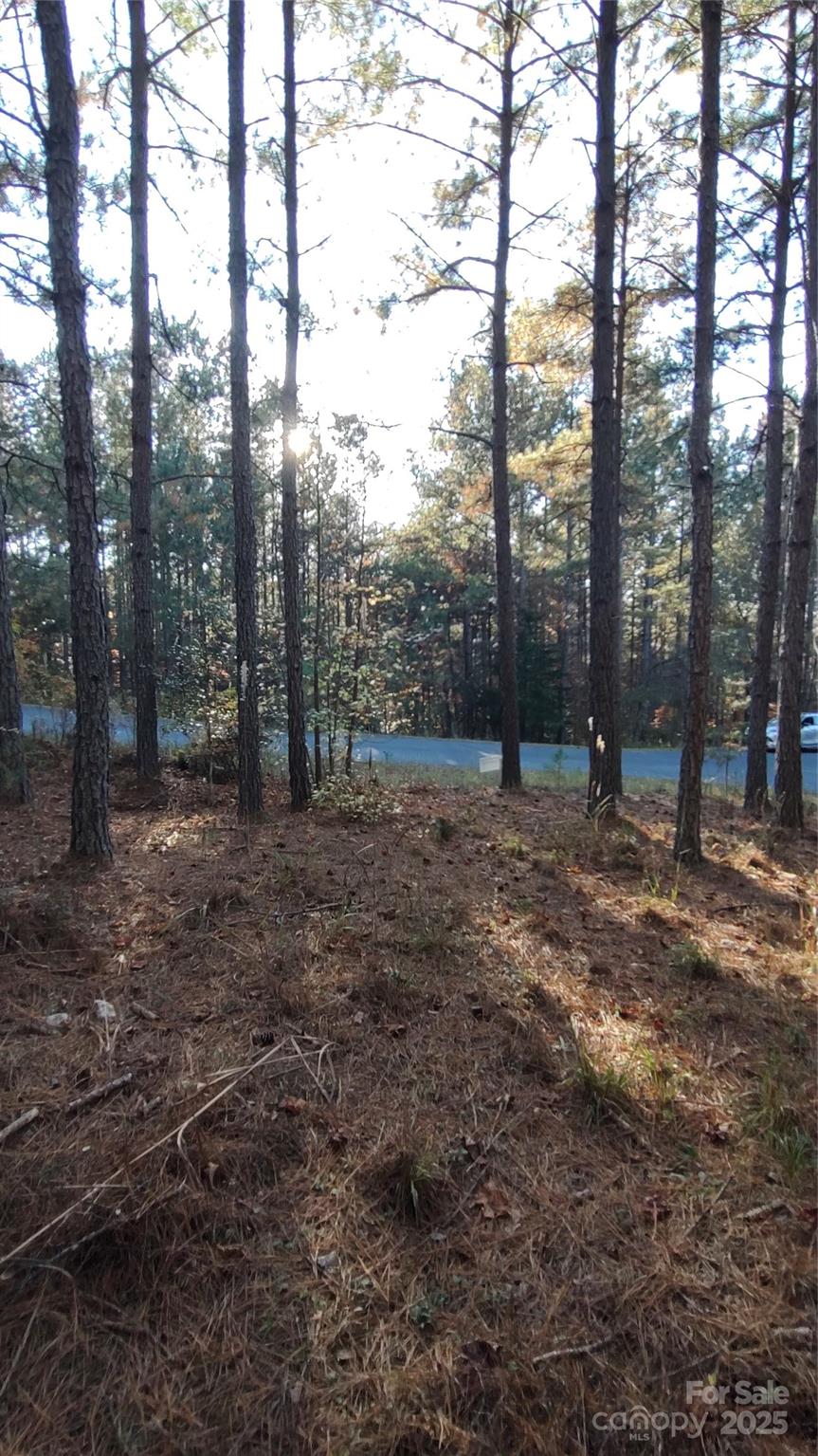 Broad River Highlands - Land