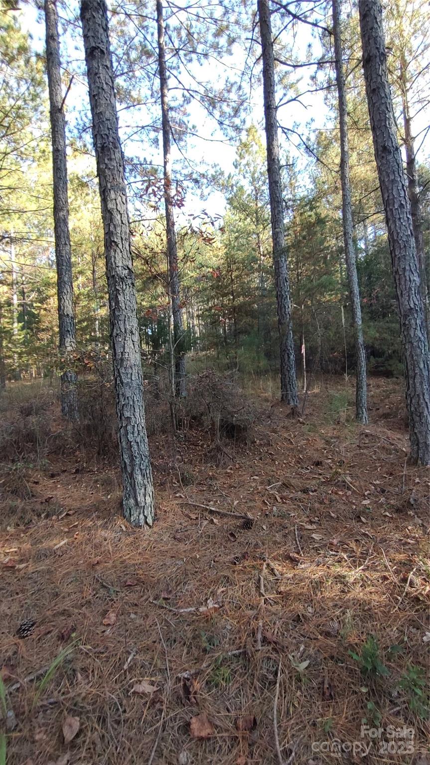 Broad River Highlands - Land