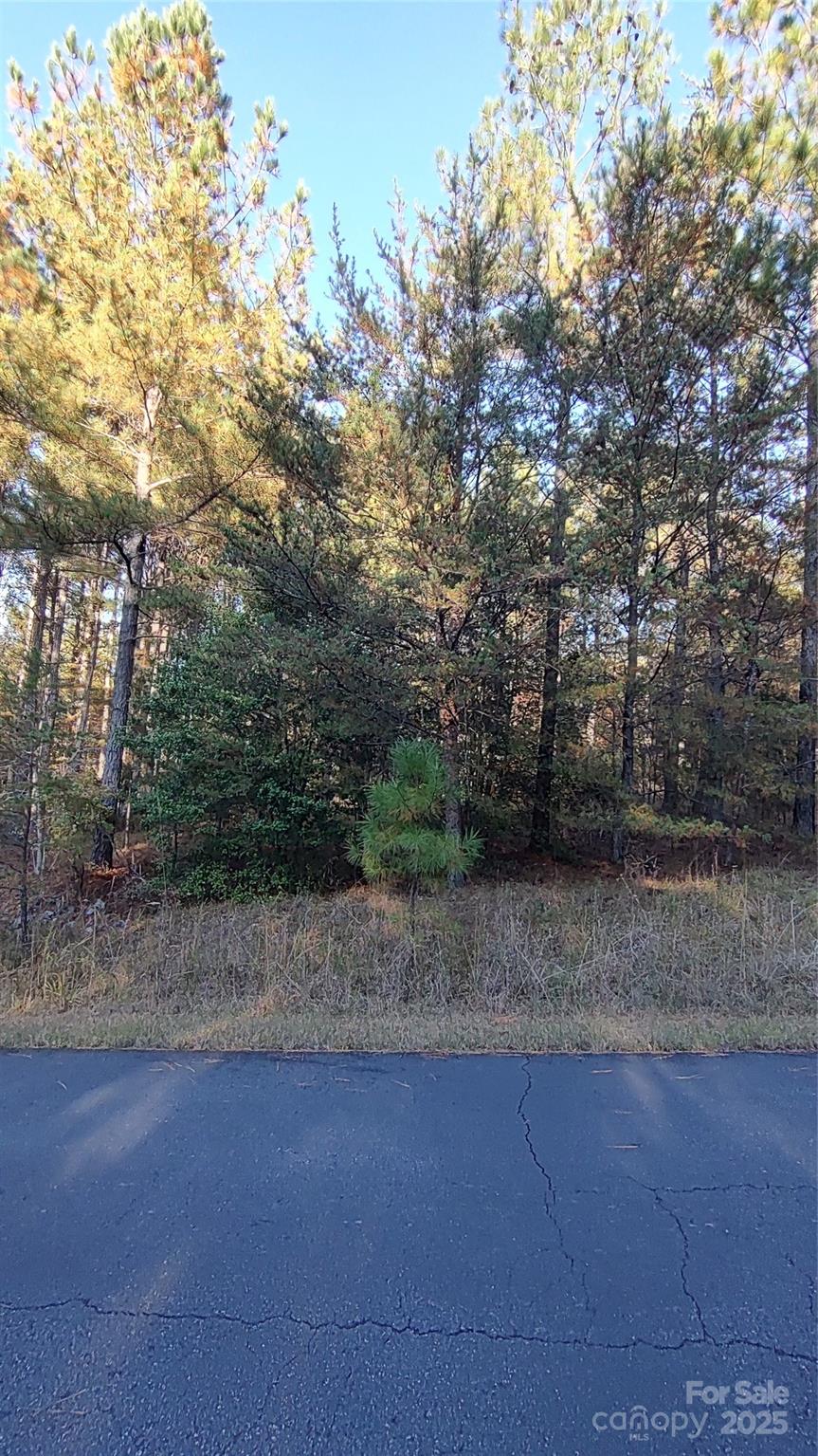 Broad River Highlands - Land