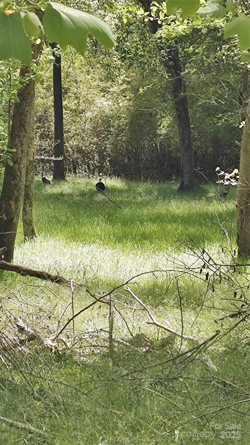 Broad River Highlands - Land