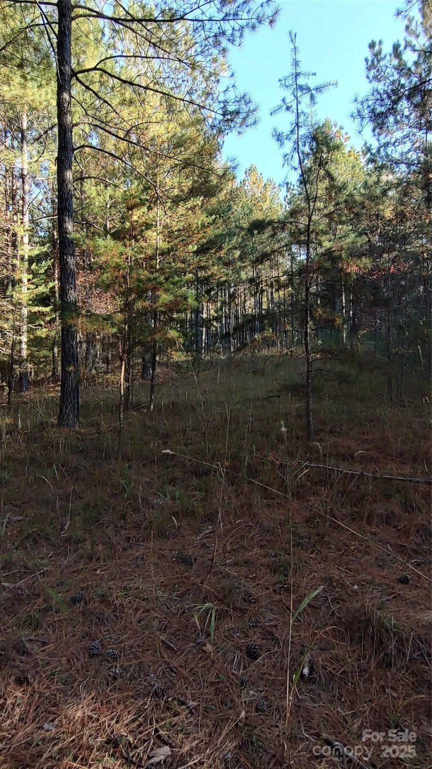 Broad River Highlands - Land