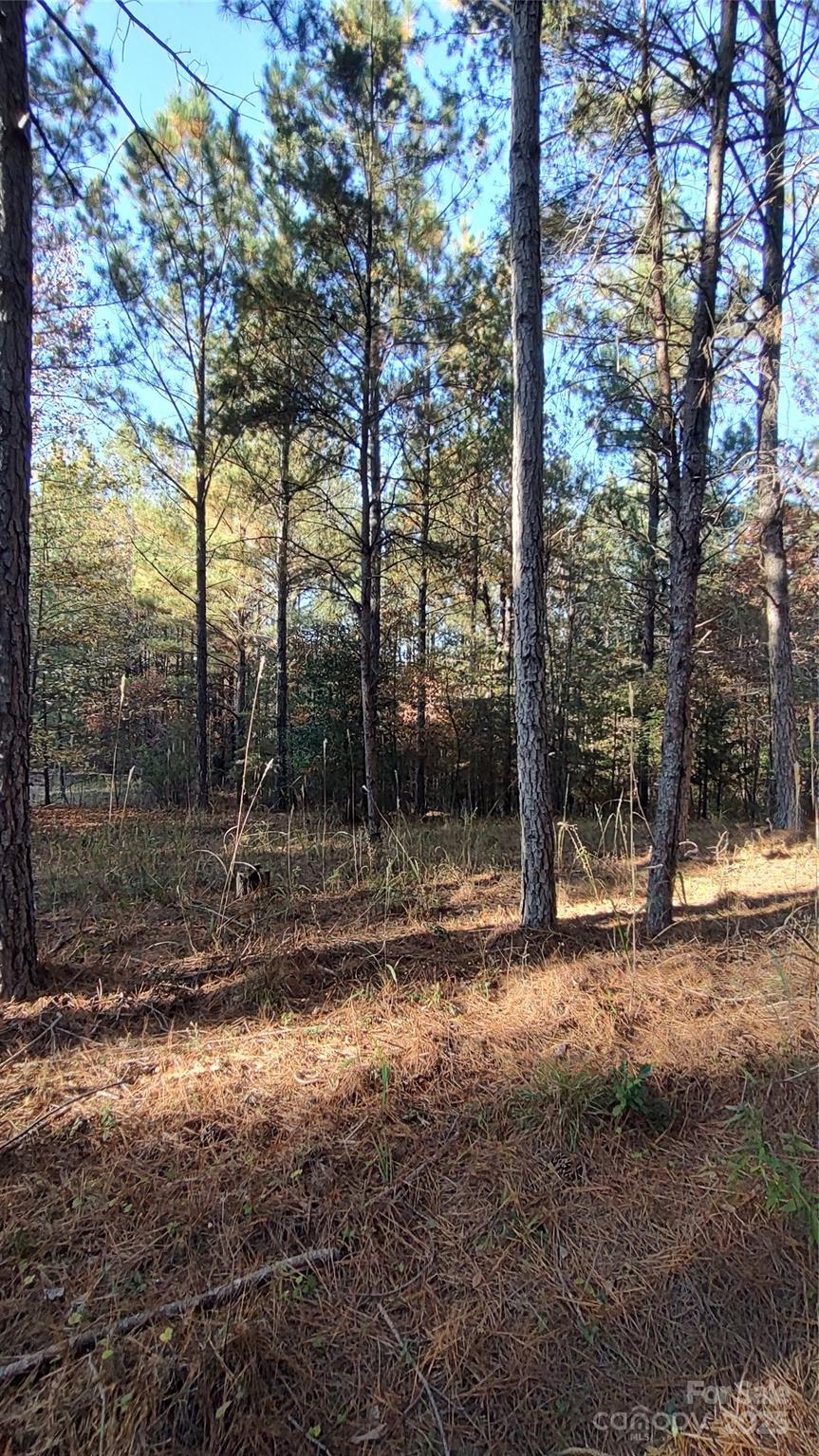 Broad River Highlands - Land