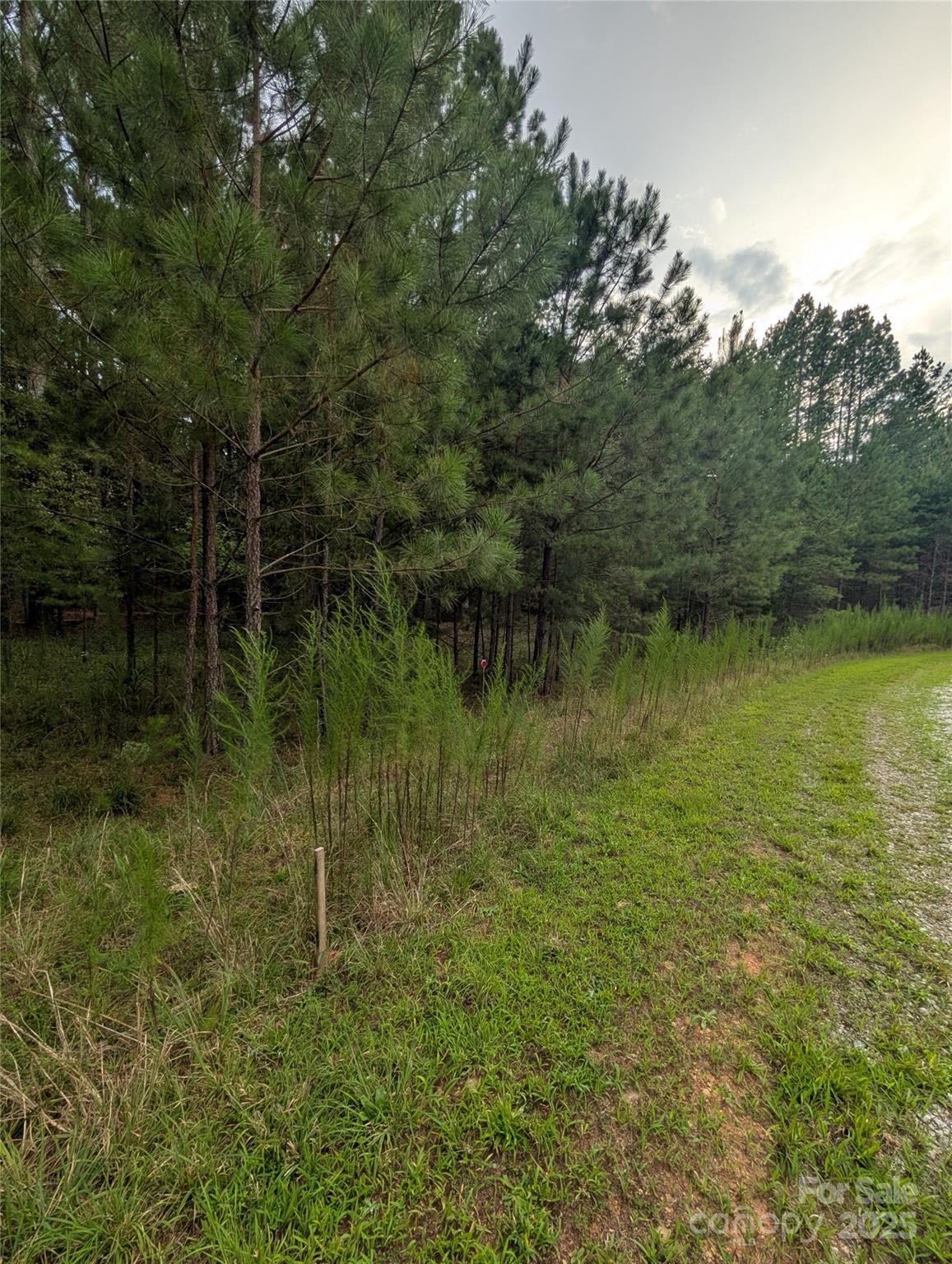 Broad River Highlands - Land