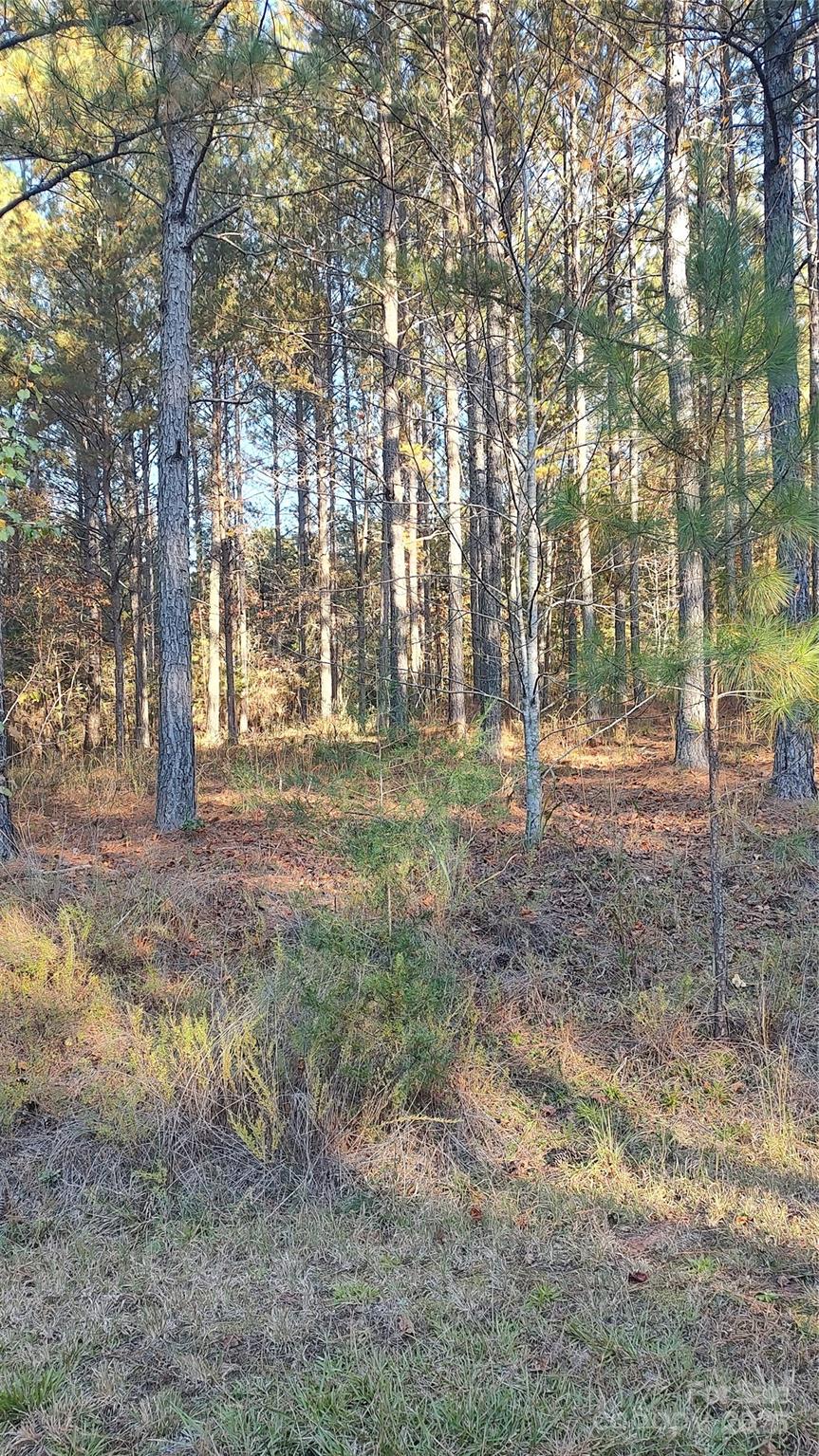 Broad River Highlands - Land