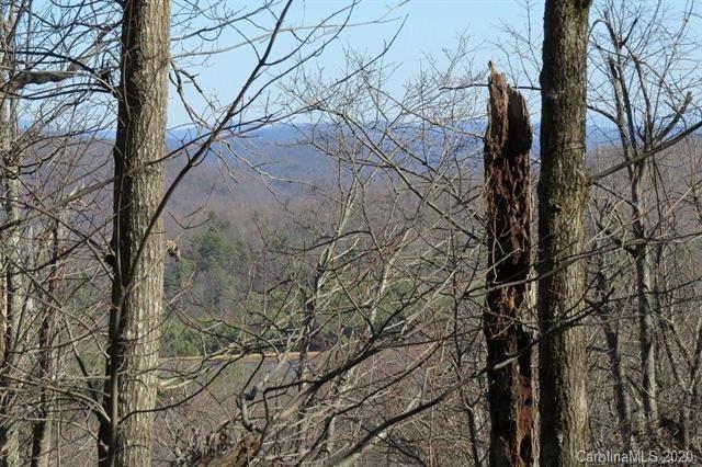212 W Chestnut Ridges Road