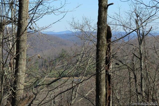 212 W Chestnut Ridges Road
