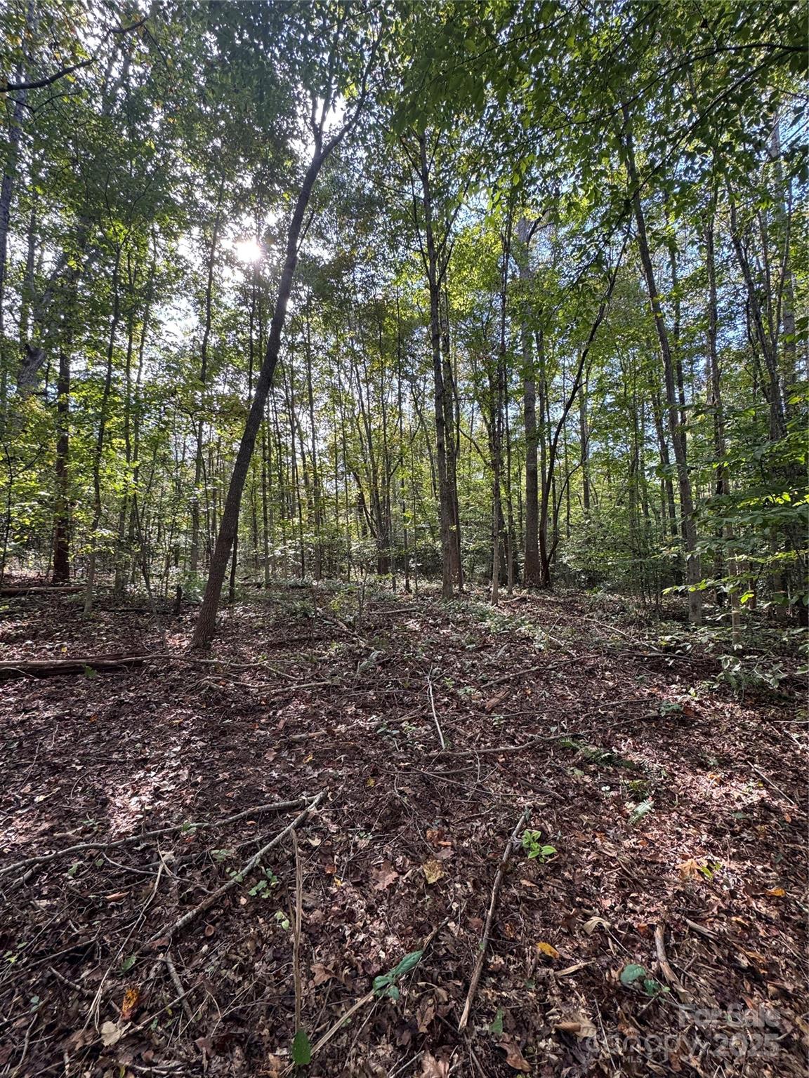 5569 Wilkesboro Highway 1