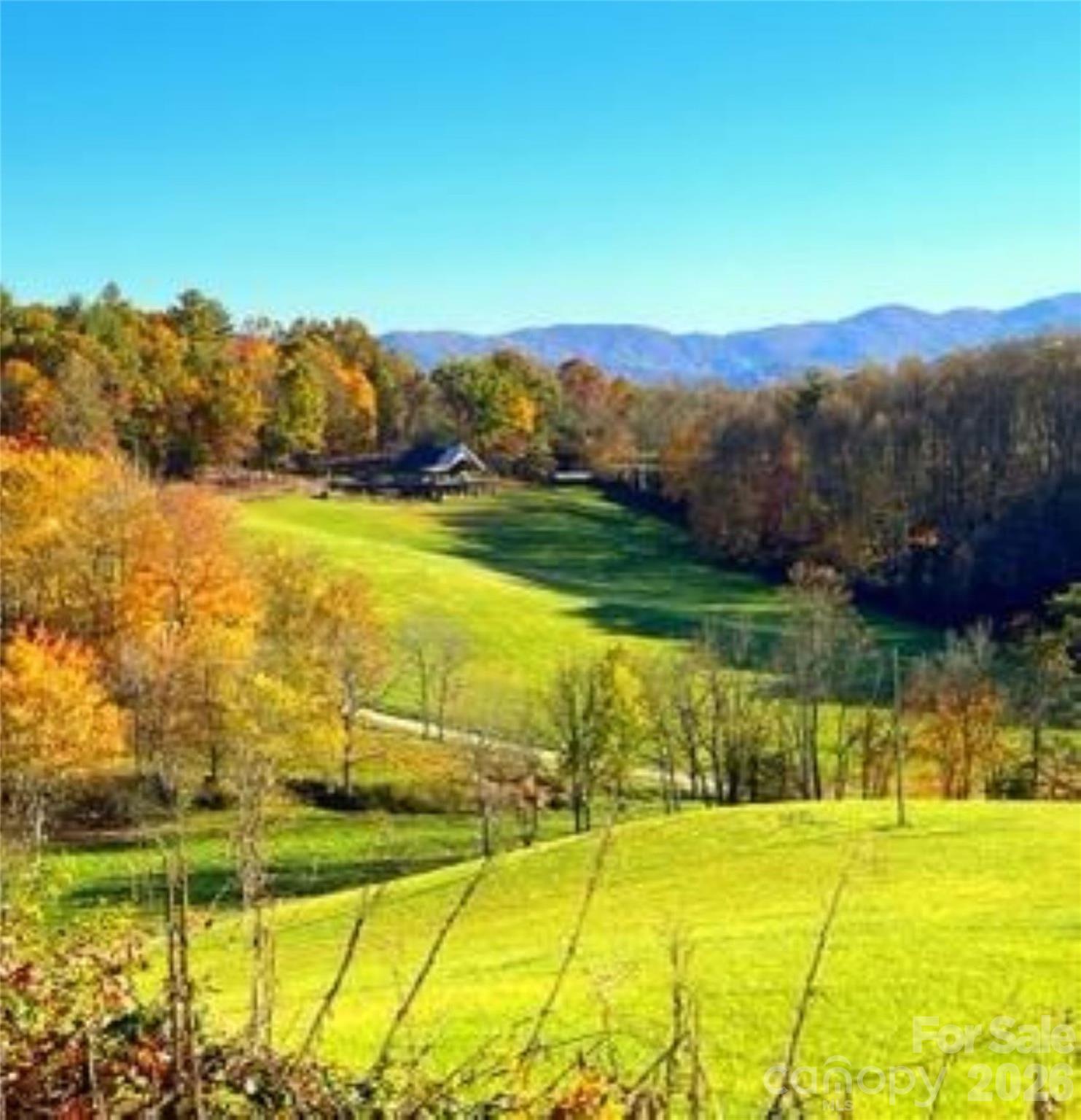 461 Ferguson Cove Loop