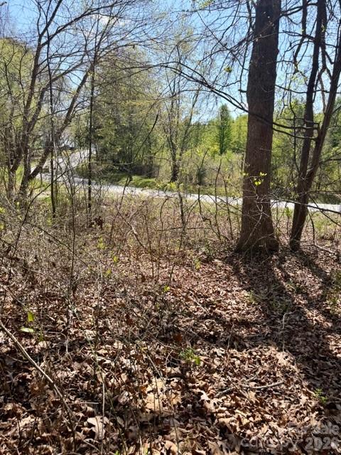 Hambrick Forest - Land