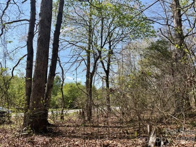 Hambrick Forest - Land