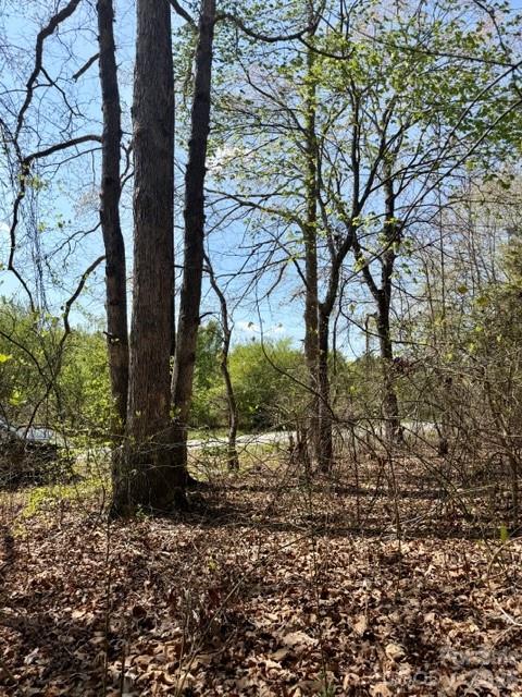 Hambrick Forest - Land