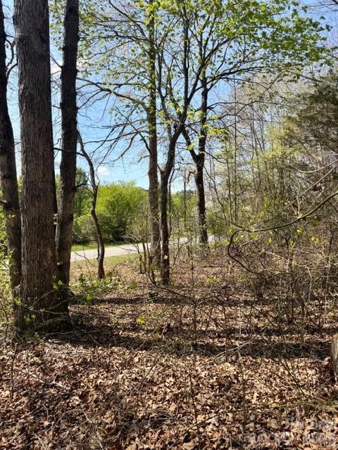 Hambrick Forest - Land