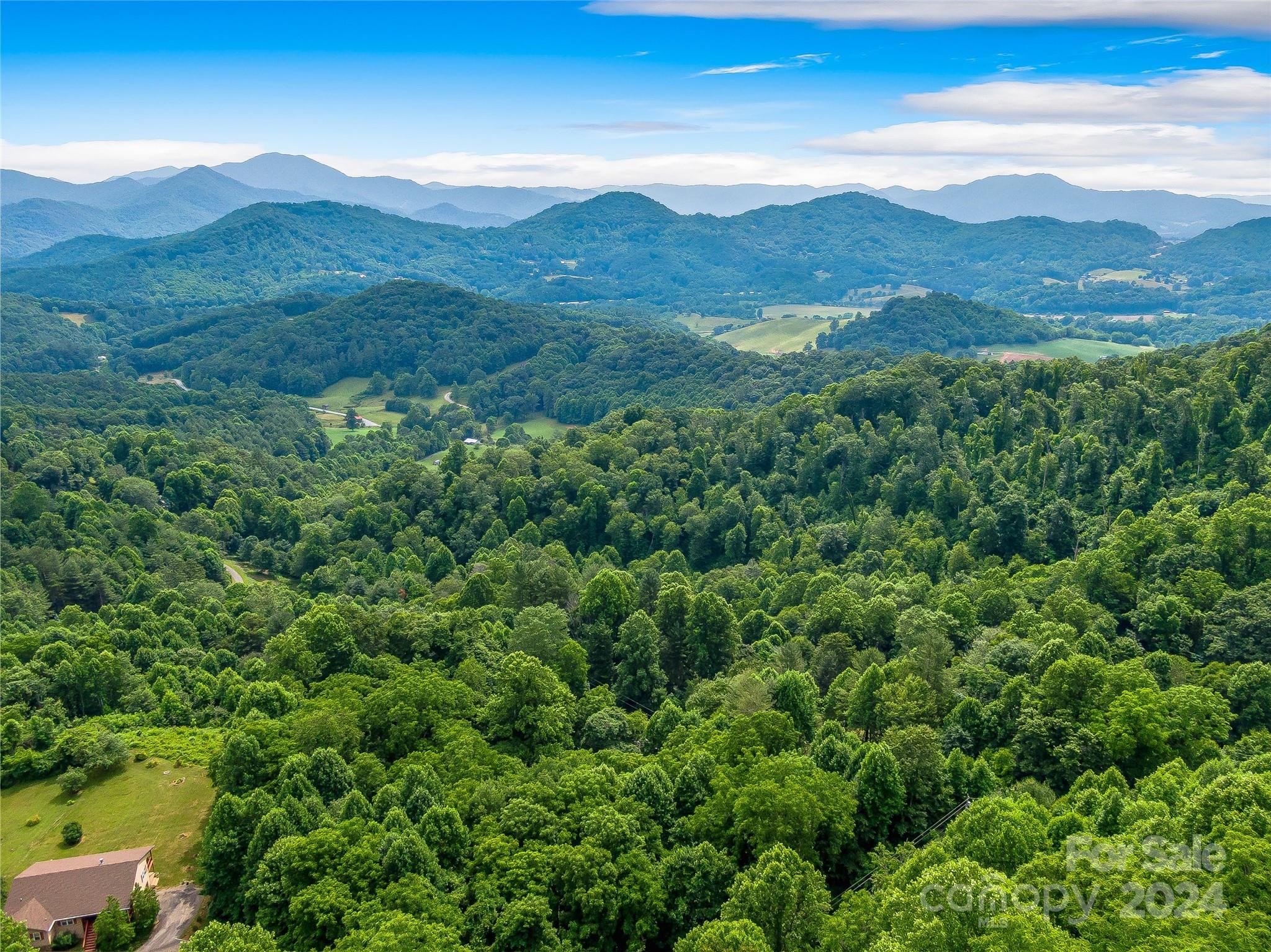 Hills Of Cataloochee - Land