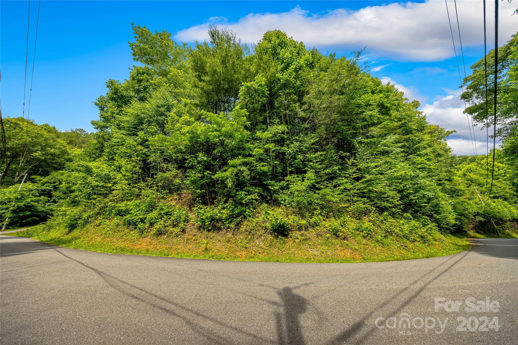 Hills Of Cataloochee - Land