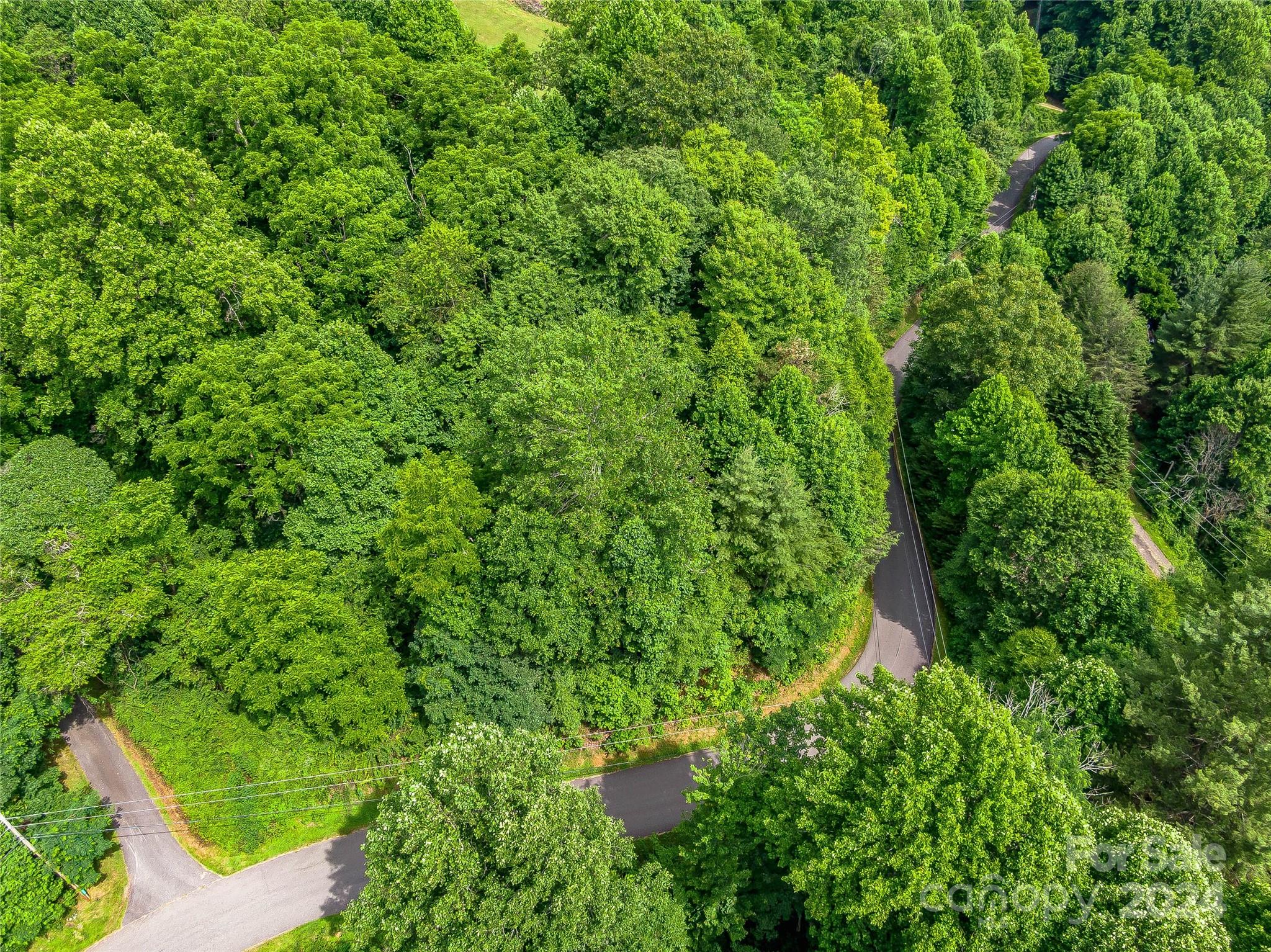 Hills Of Cataloochee - Land