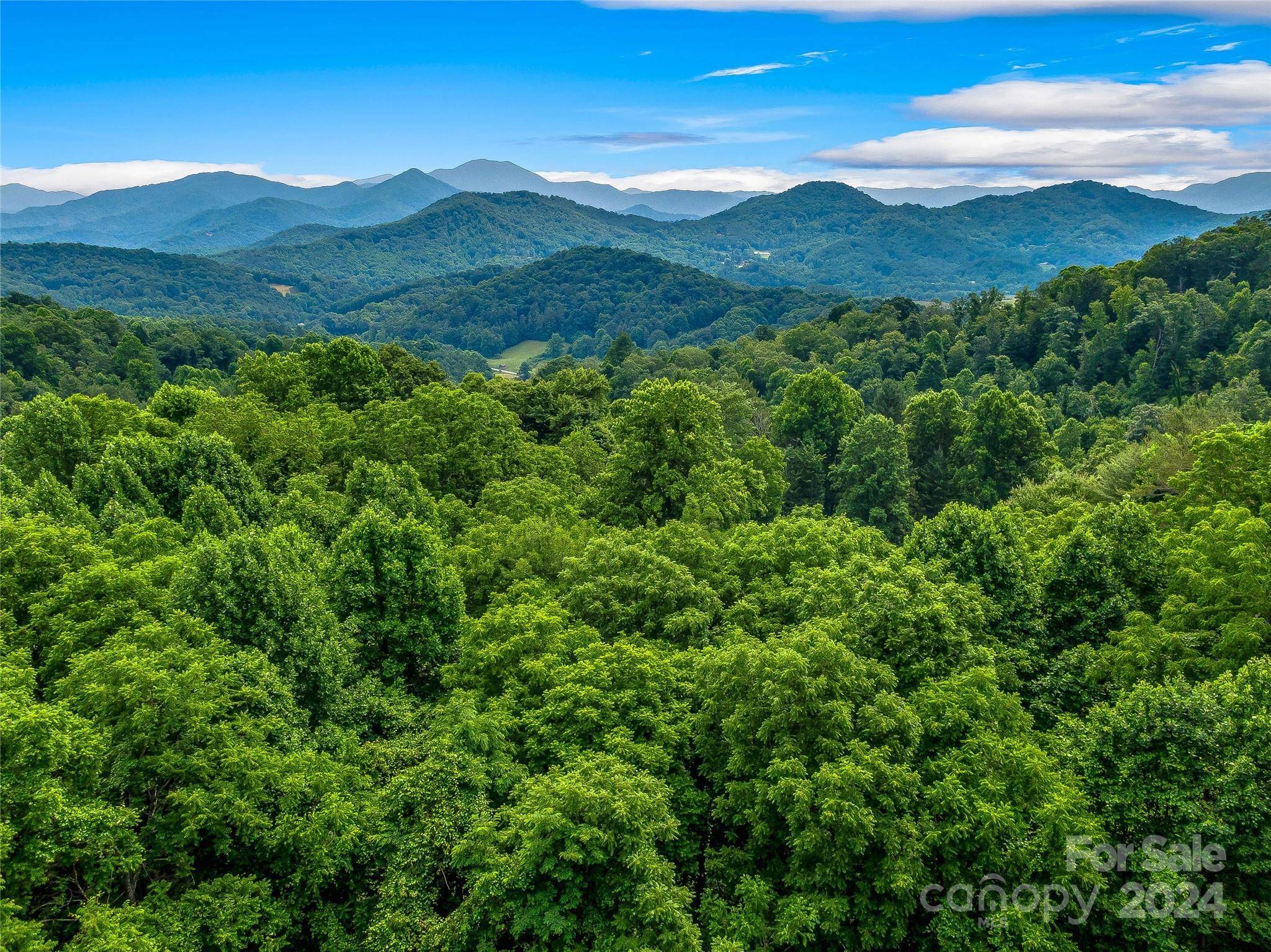 Hills Of Cataloochee - Land
