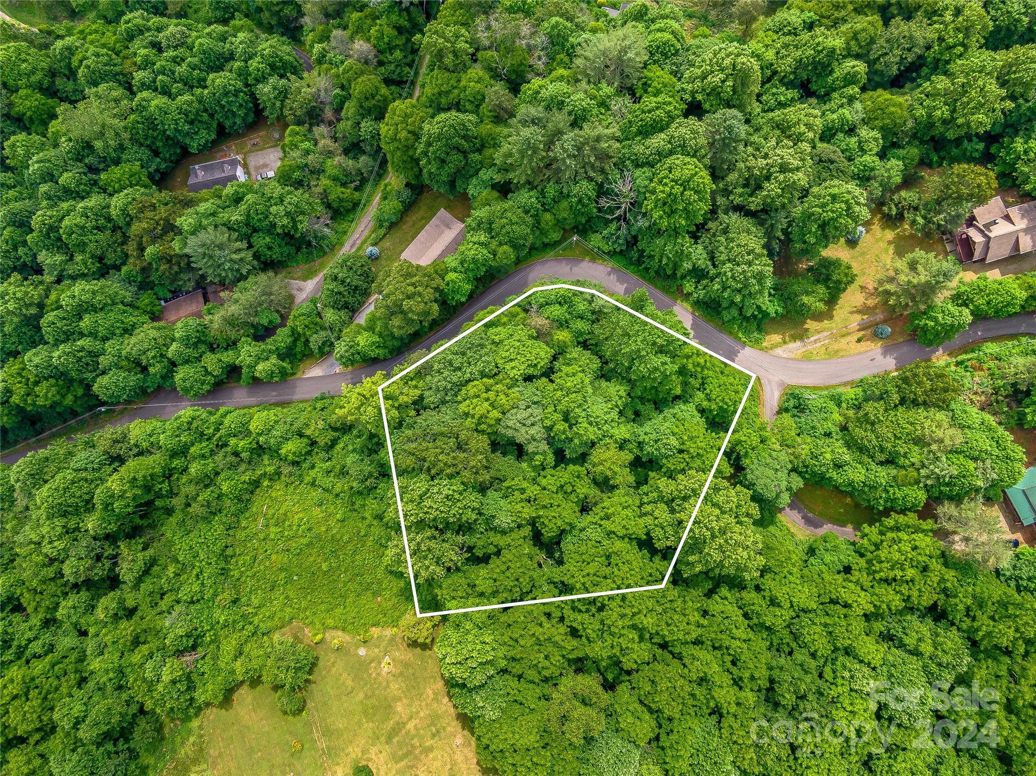 Hills Of Cataloochee - Land