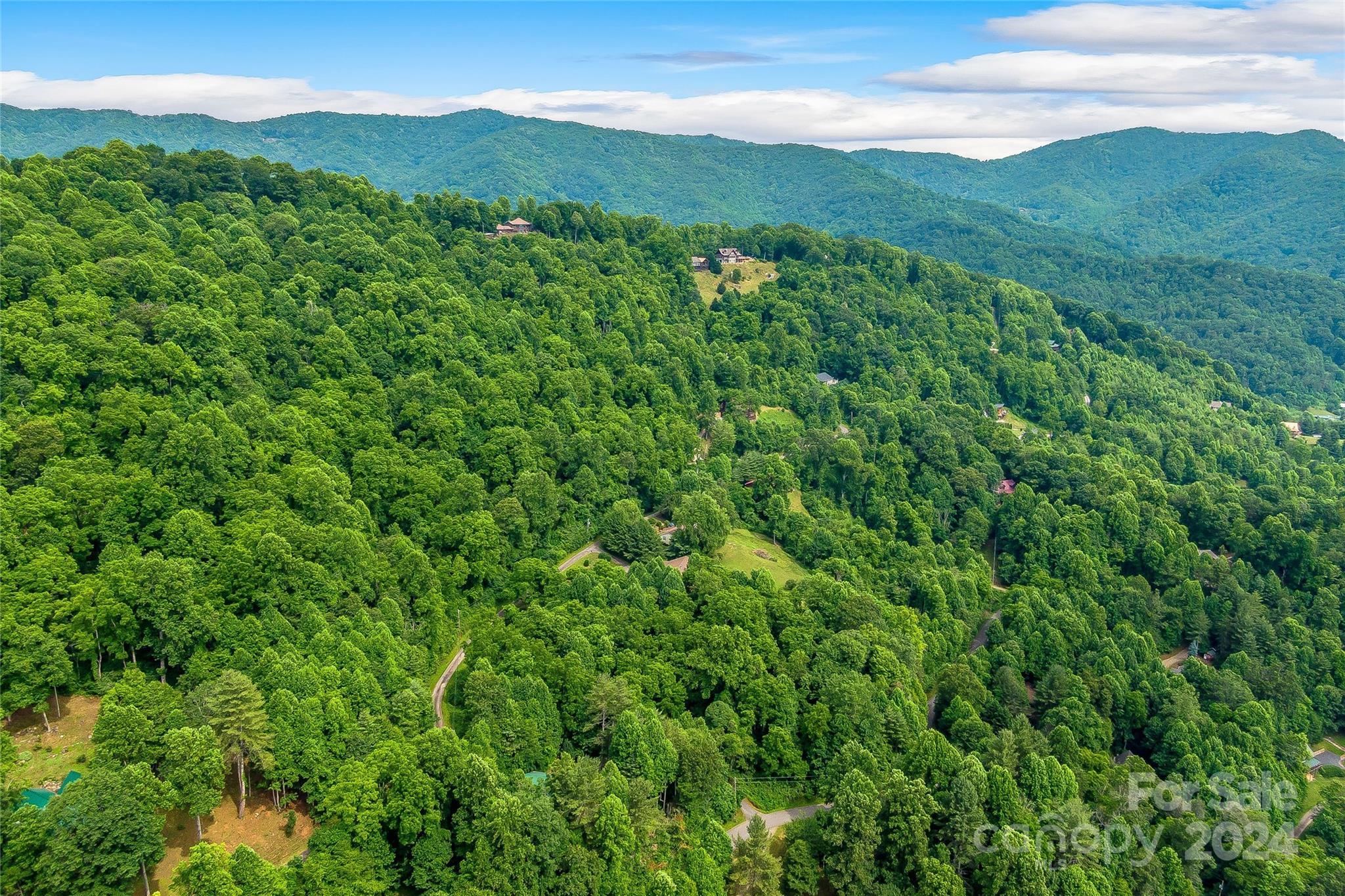 Hills Of Cataloochee - Land