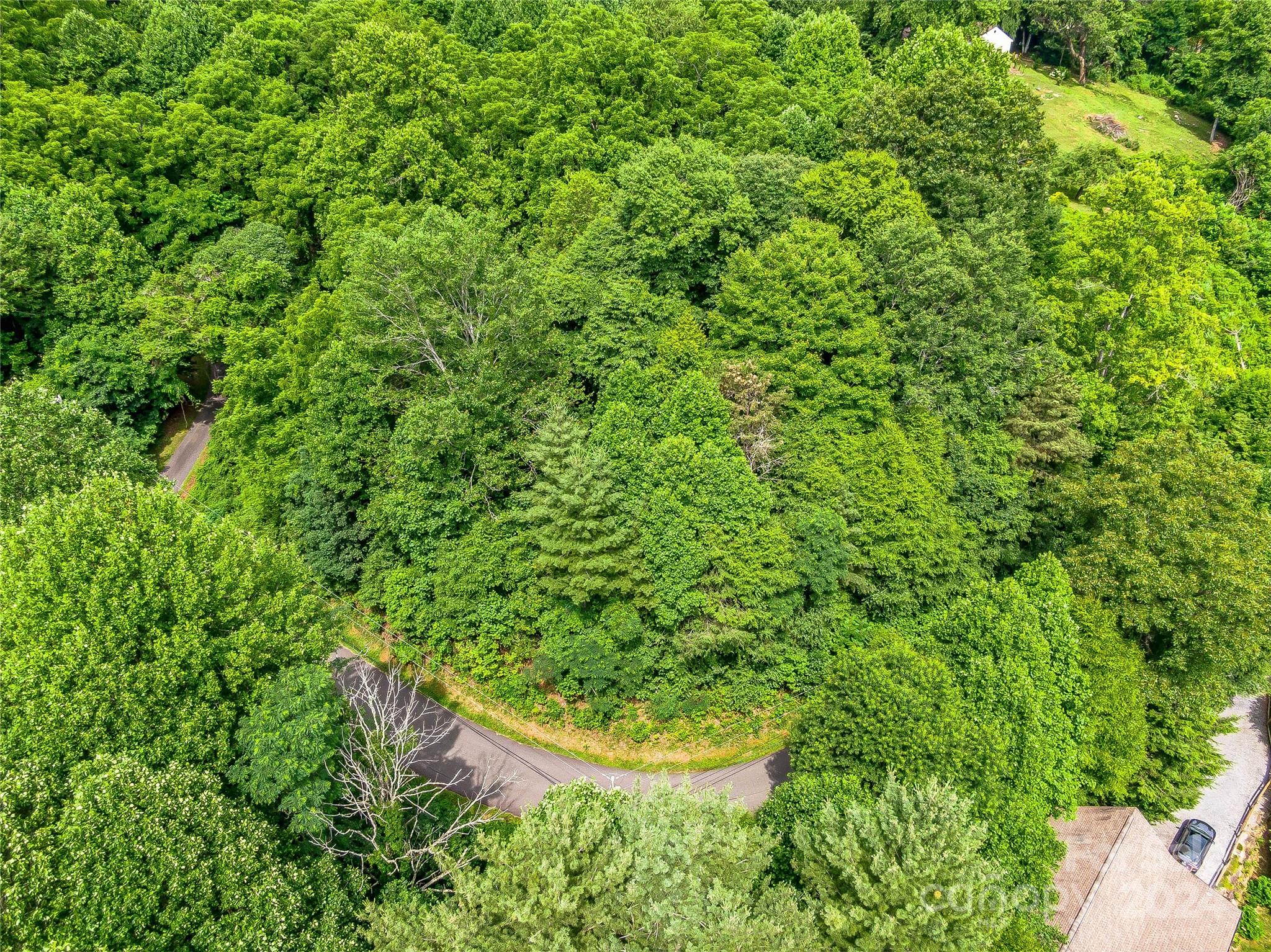 Hills Of Cataloochee - Land