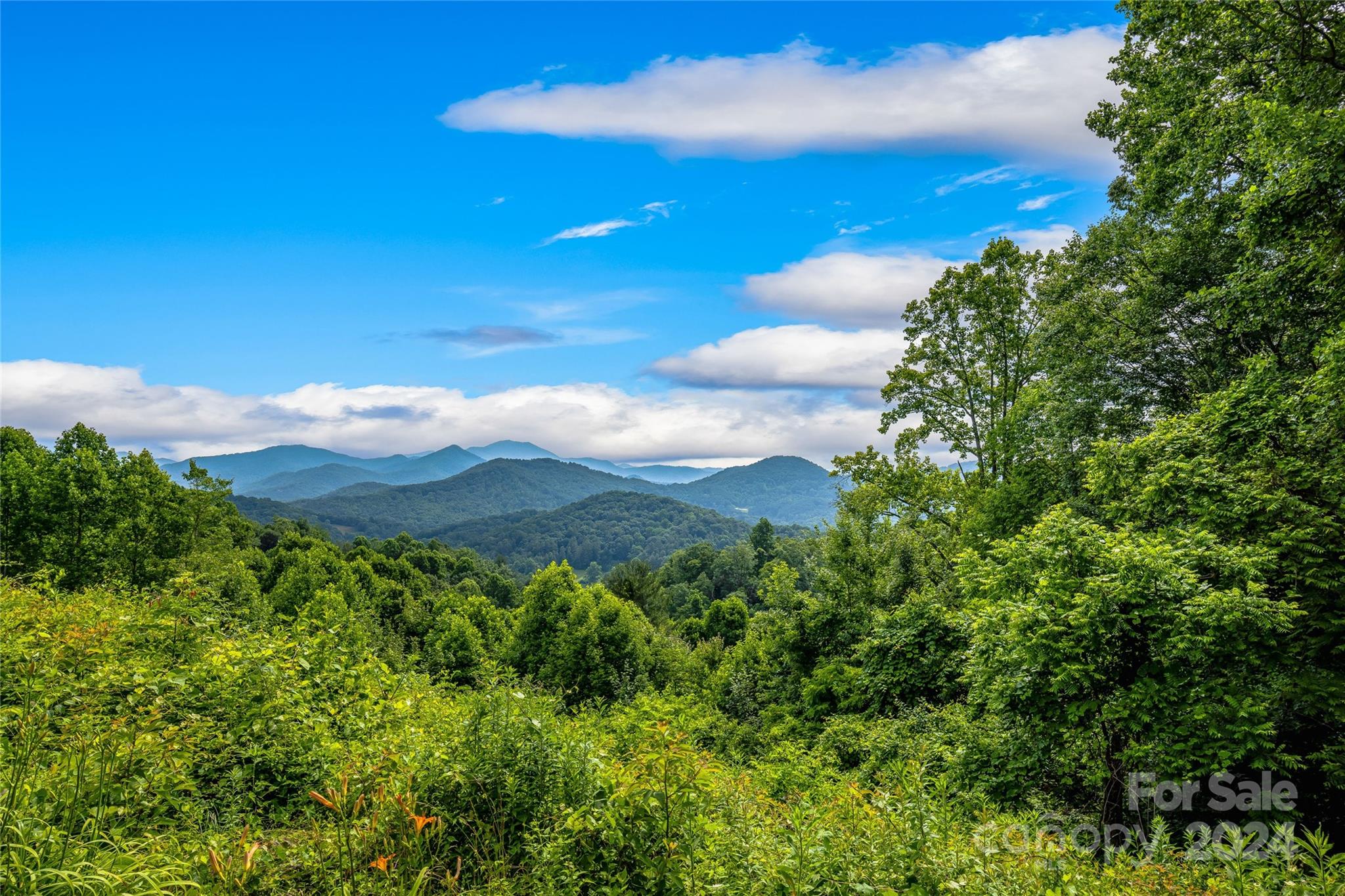 Hills Of Cataloochee - Land