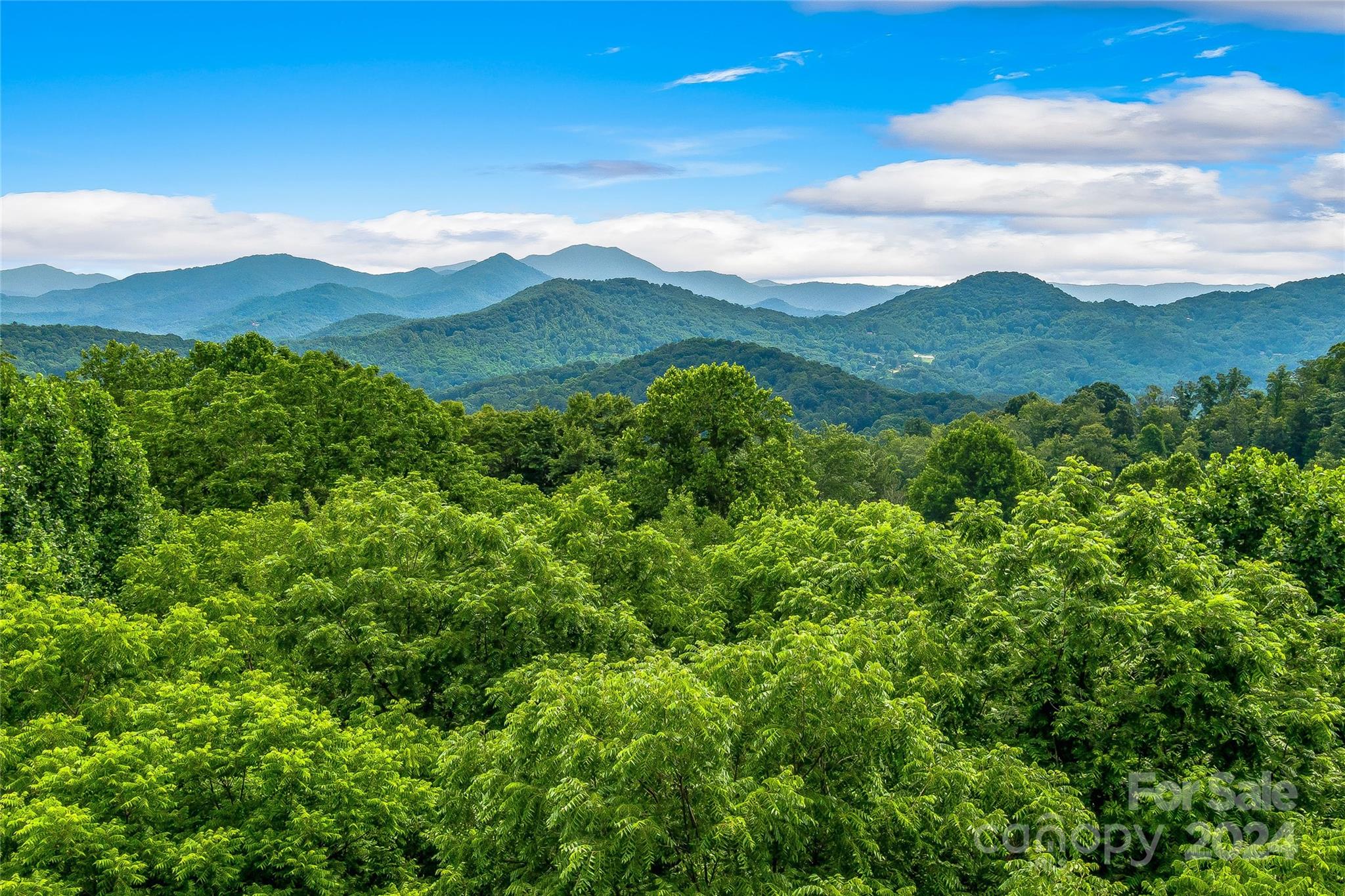 Hills Of Cataloochee - Land