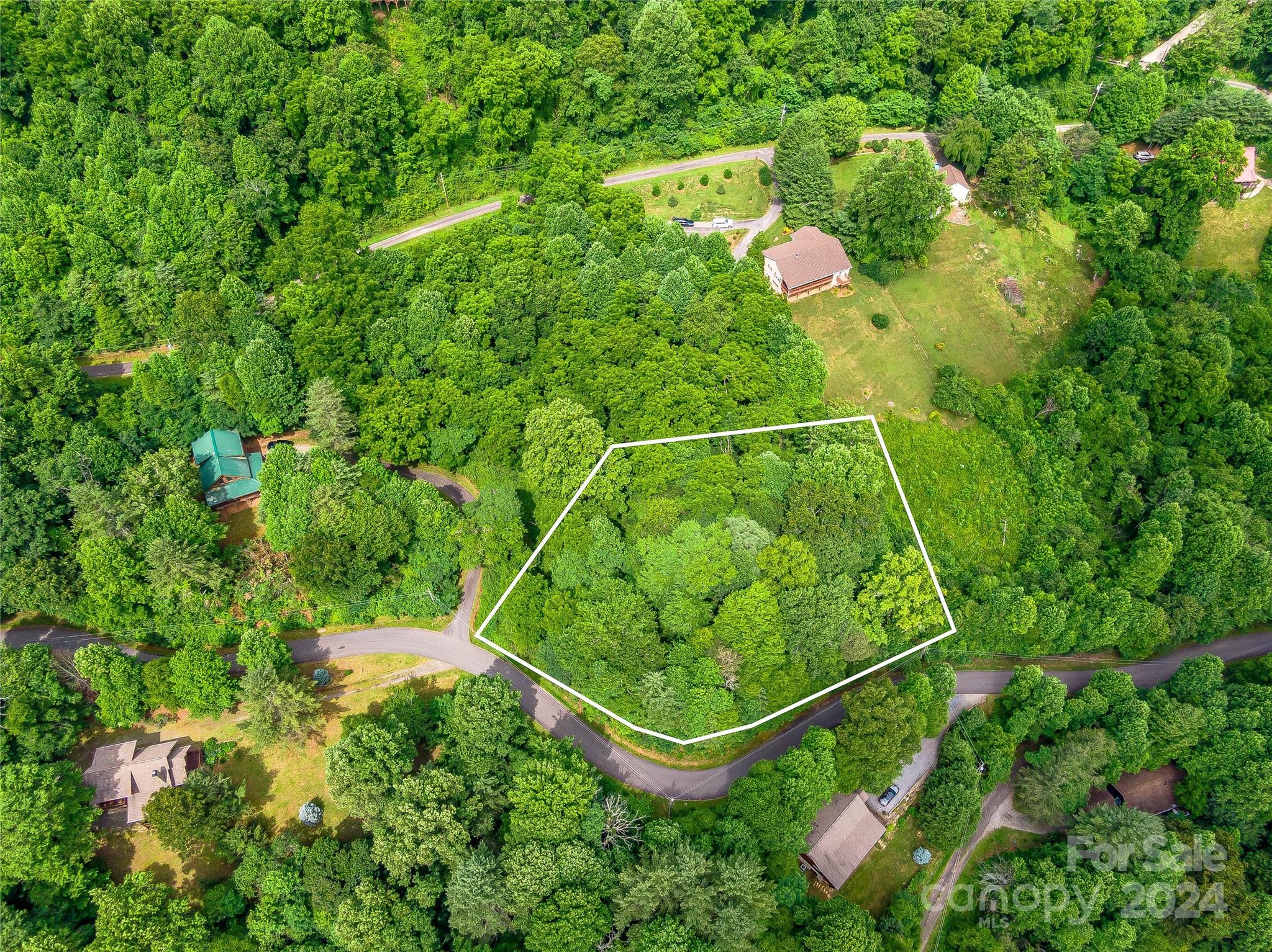 Hills Of Cataloochee - Land