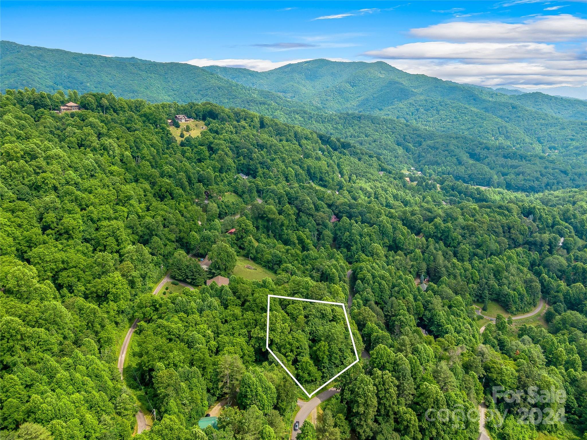 Hills Of Cataloochee - Land