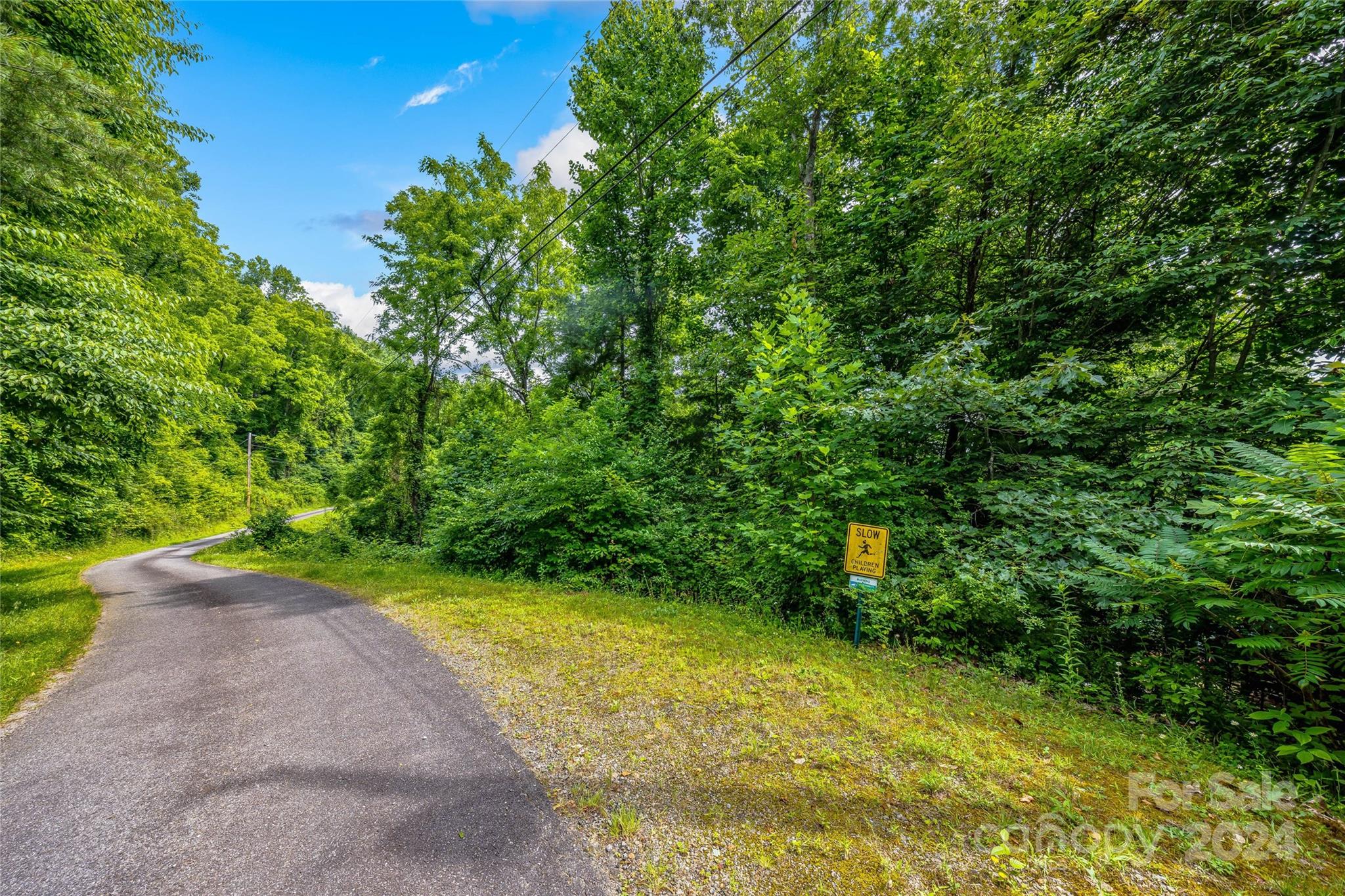 Hills Of Cataloochee - Land