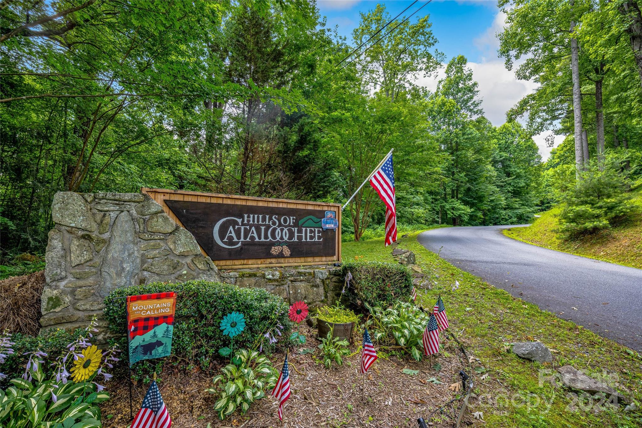 Hills Of Cataloochee - Land
