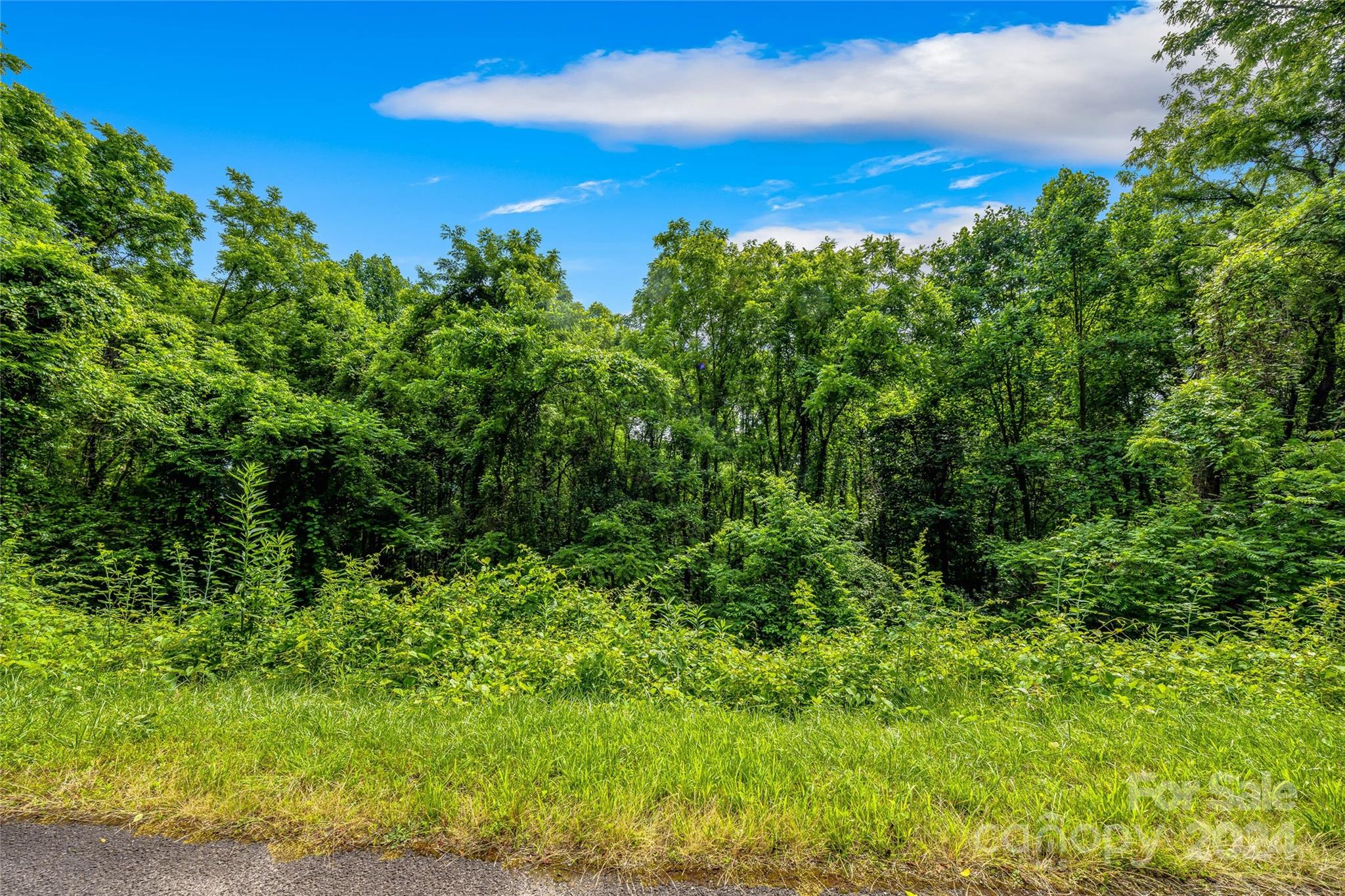 Hills Of Cataloochee - Land