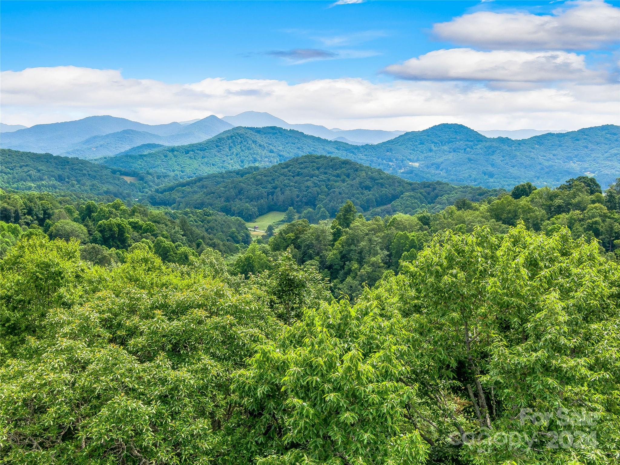 Hills Of Cataloochee - Land