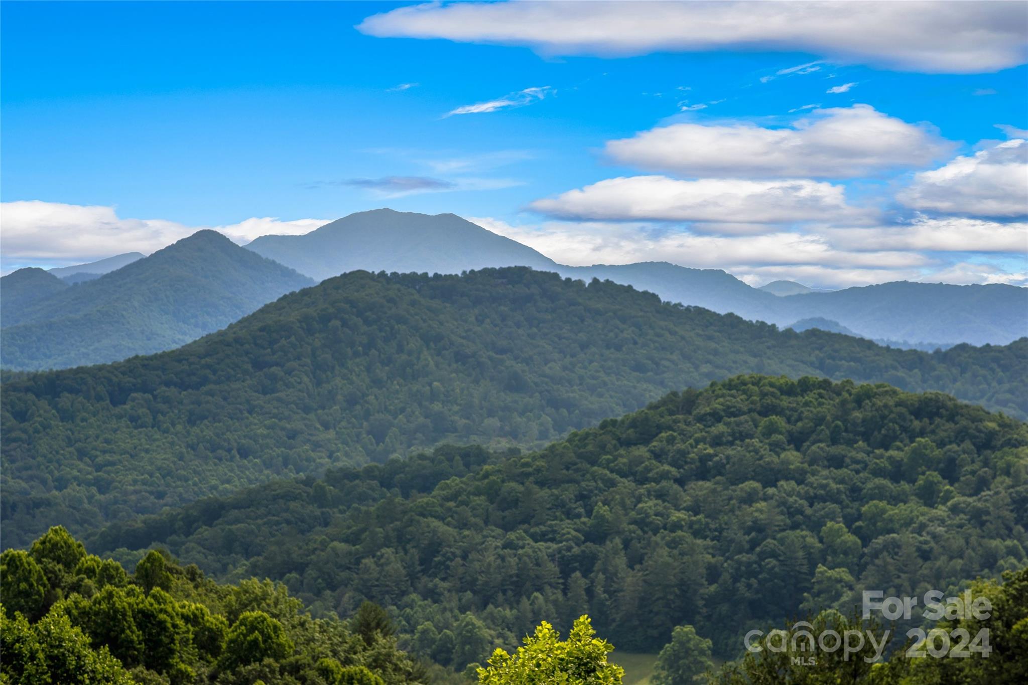 Hills Of Cataloochee - Land