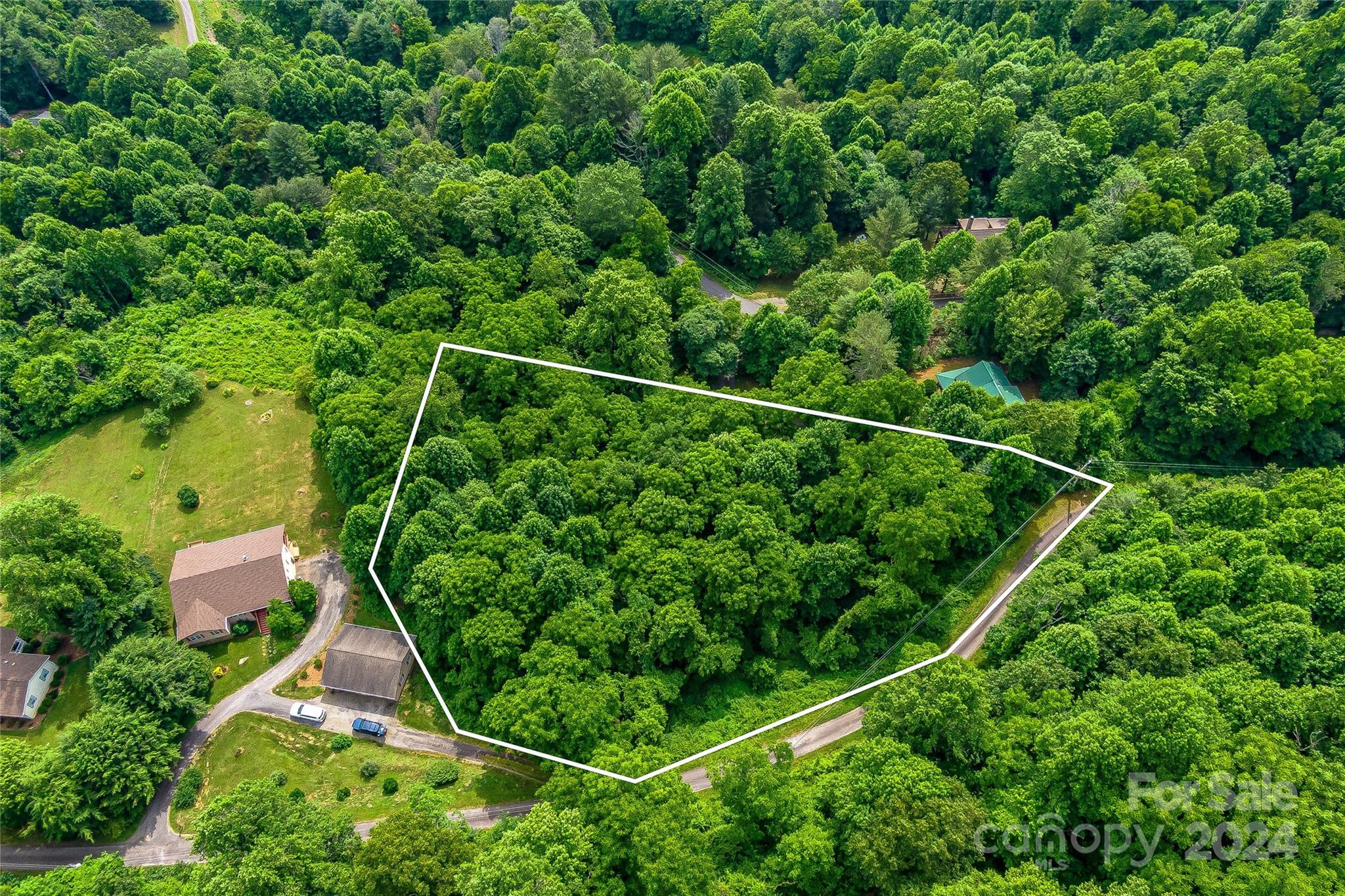 Hills Of Cataloochee - Land