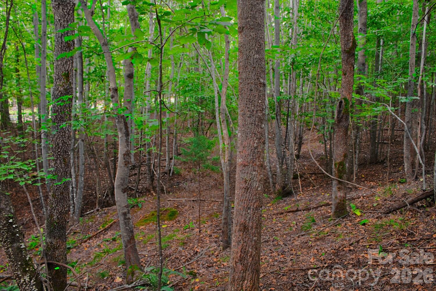 0 Creekside Circle 110