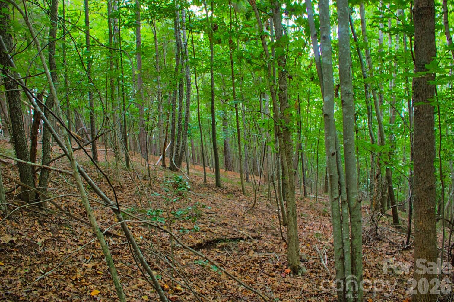 0 Creekside Circle 110