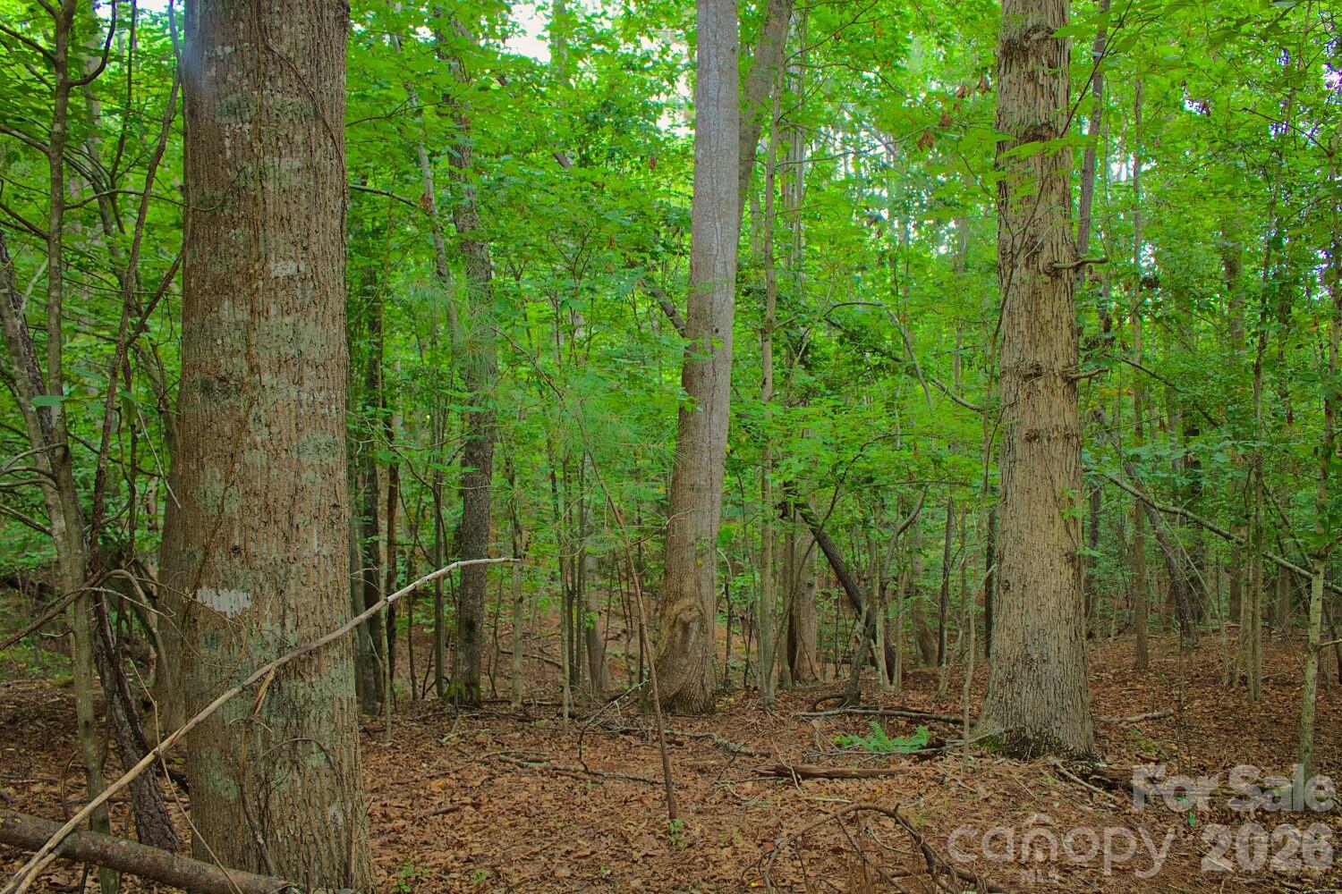 0 Creekside Circle 110