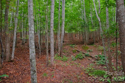 0 Creekside Circle 110 Rutherfordton NC 28139