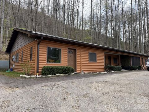 29 Plum Nearly Lane Maggie Valley NC 28751