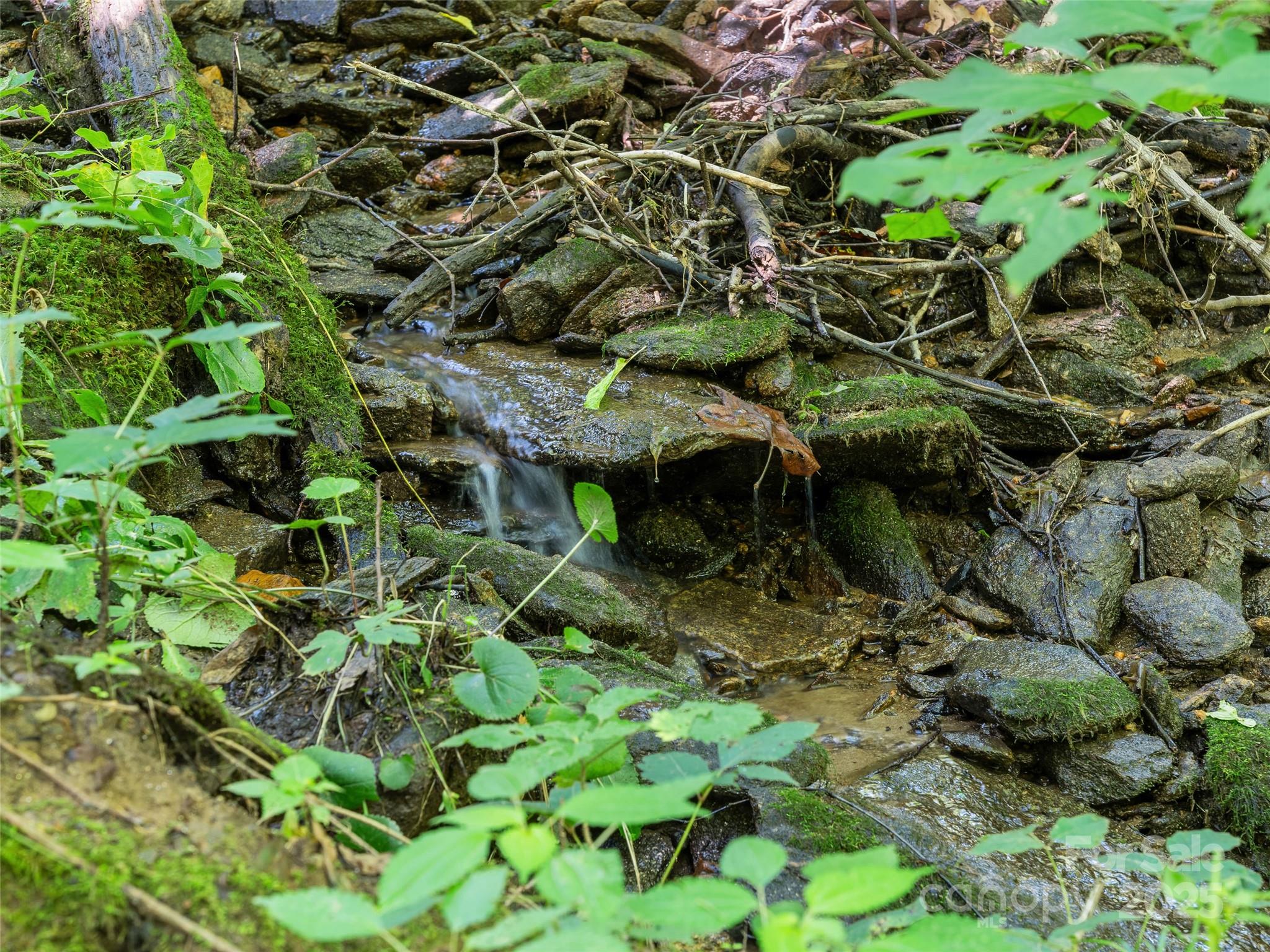 The Glens of Ironduff - Land