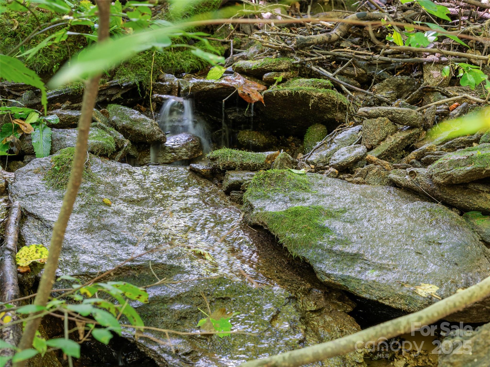 The Glens of Ironduff - Land