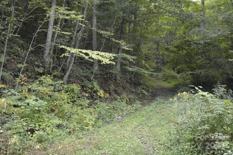 000 Bedford Road Barnardsville NC 28709