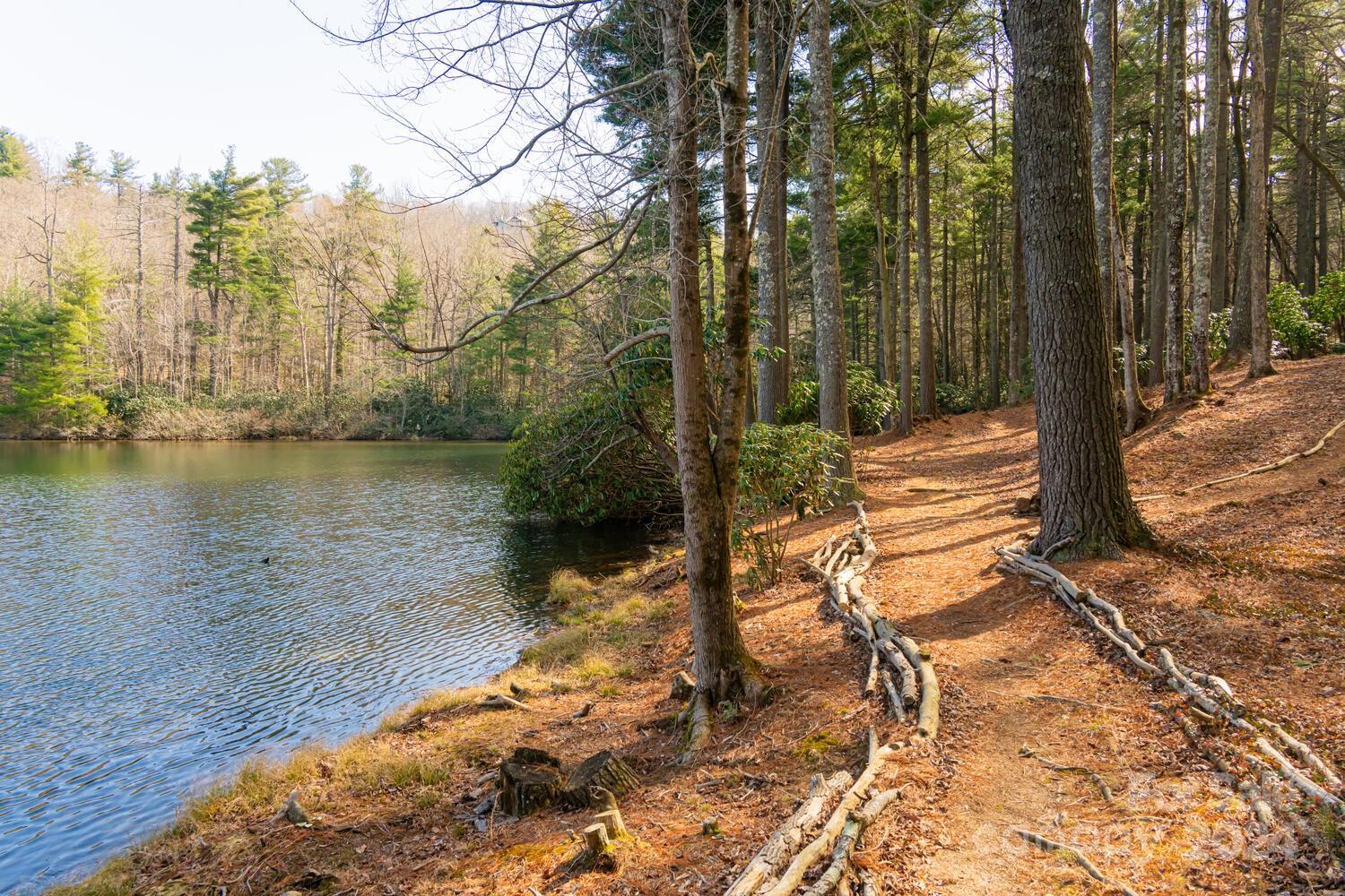 Kenmure - Residential