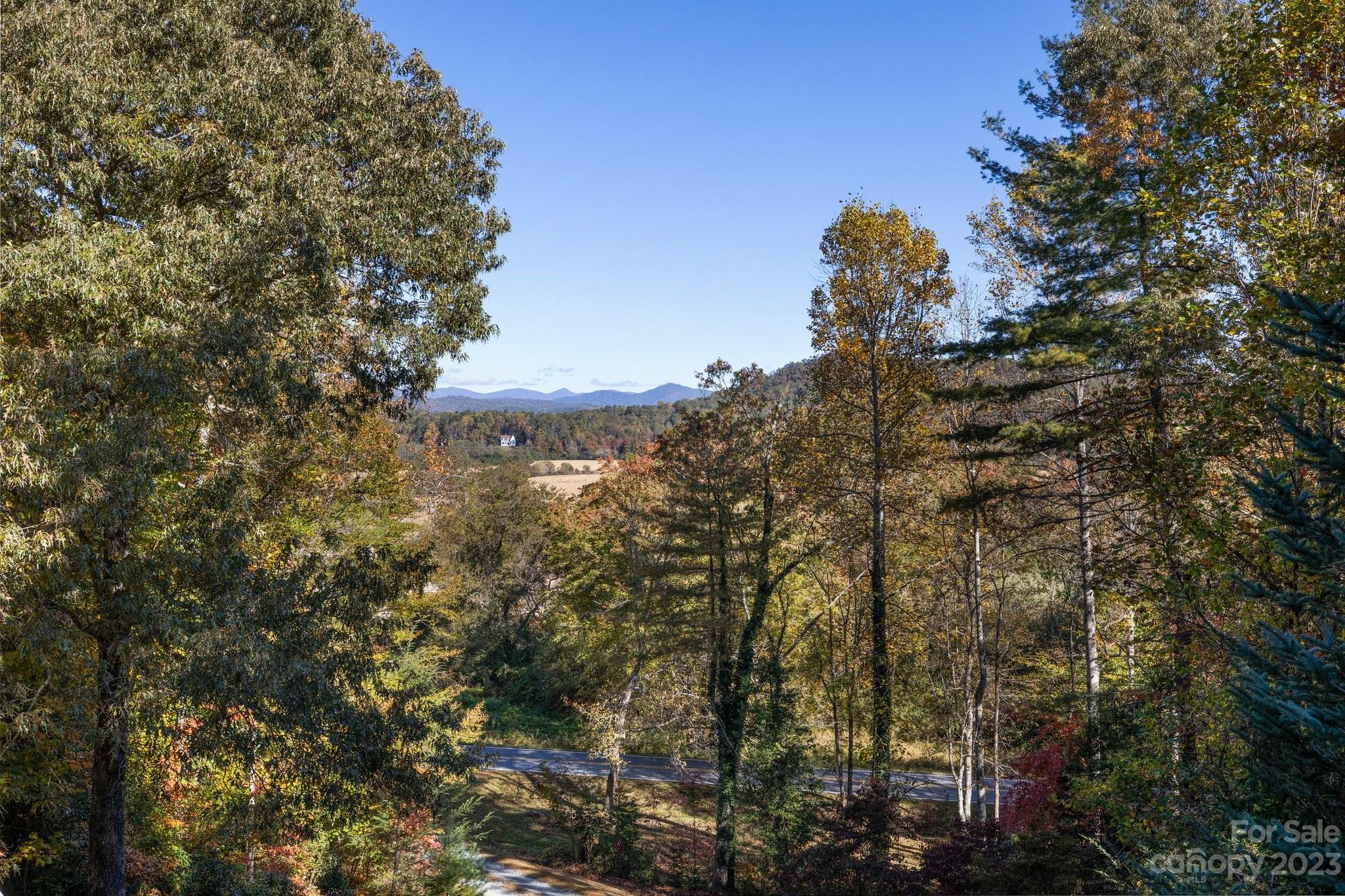 Chestnut Hill Estates - Residential