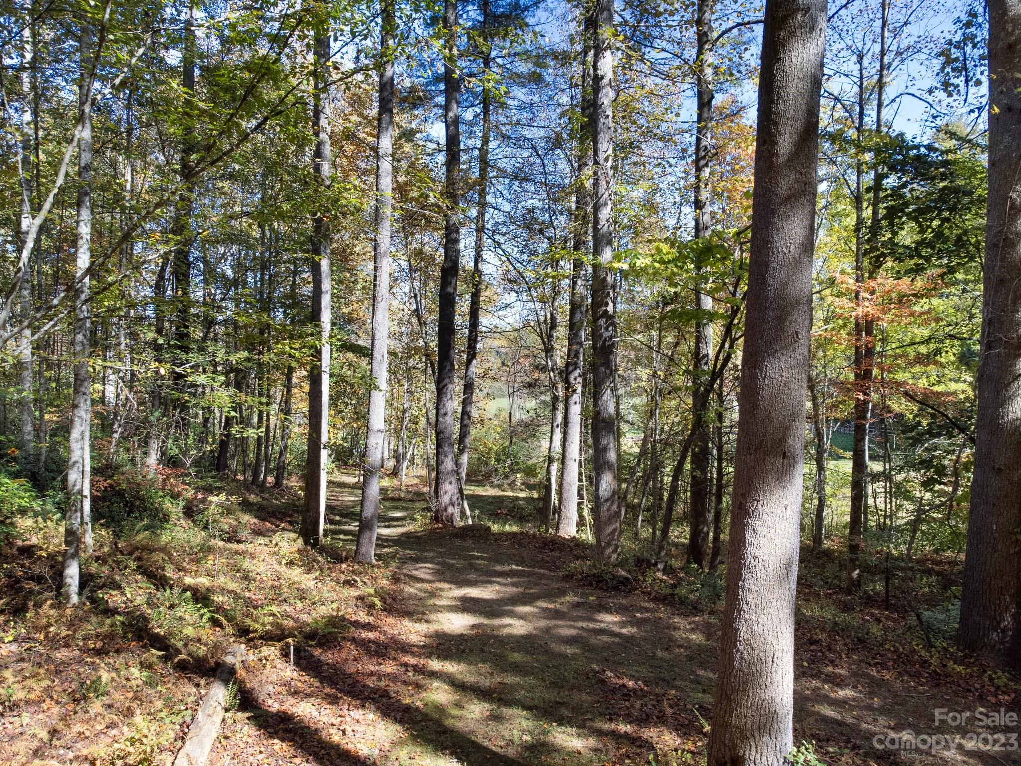 Chestnut Hill Estates - Residential